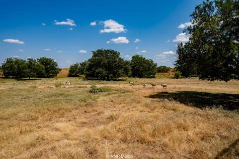 130 County Road 104 Roby TX 79543