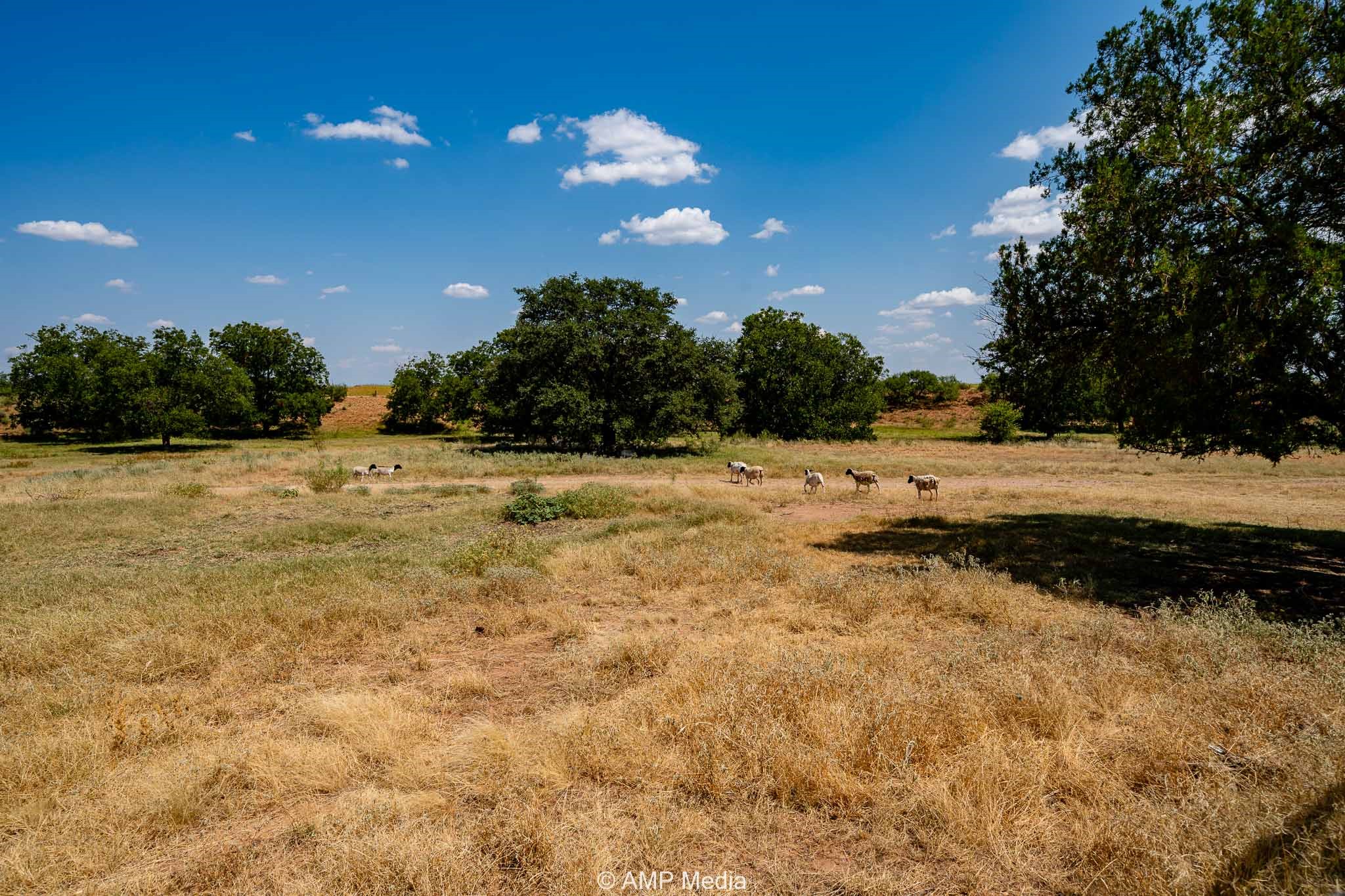130 County Road 104 Roby TX 79543