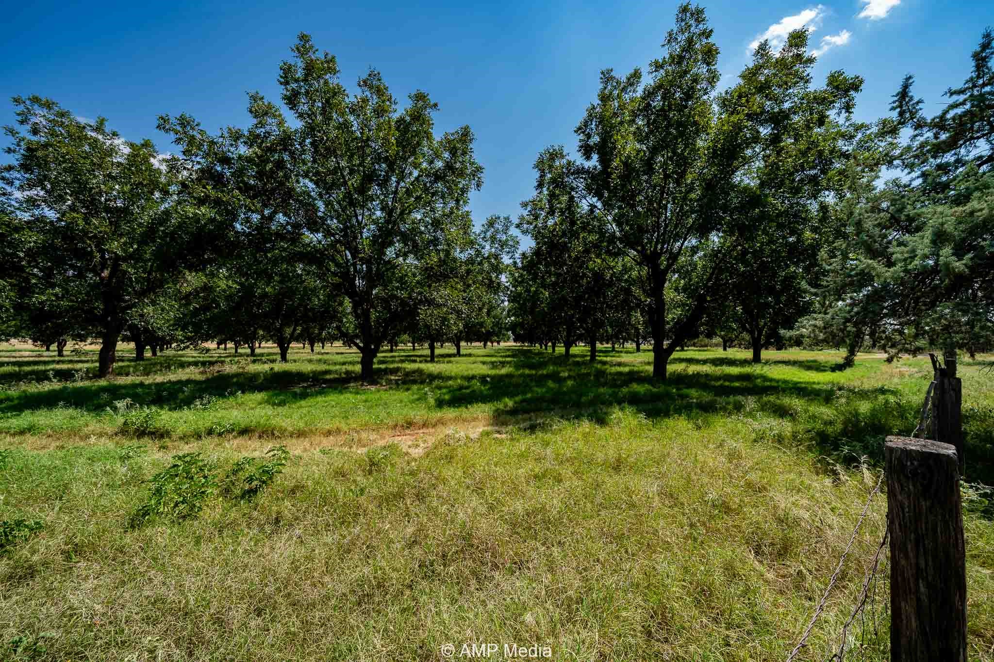 130 County Road 104 Roby TX 79543