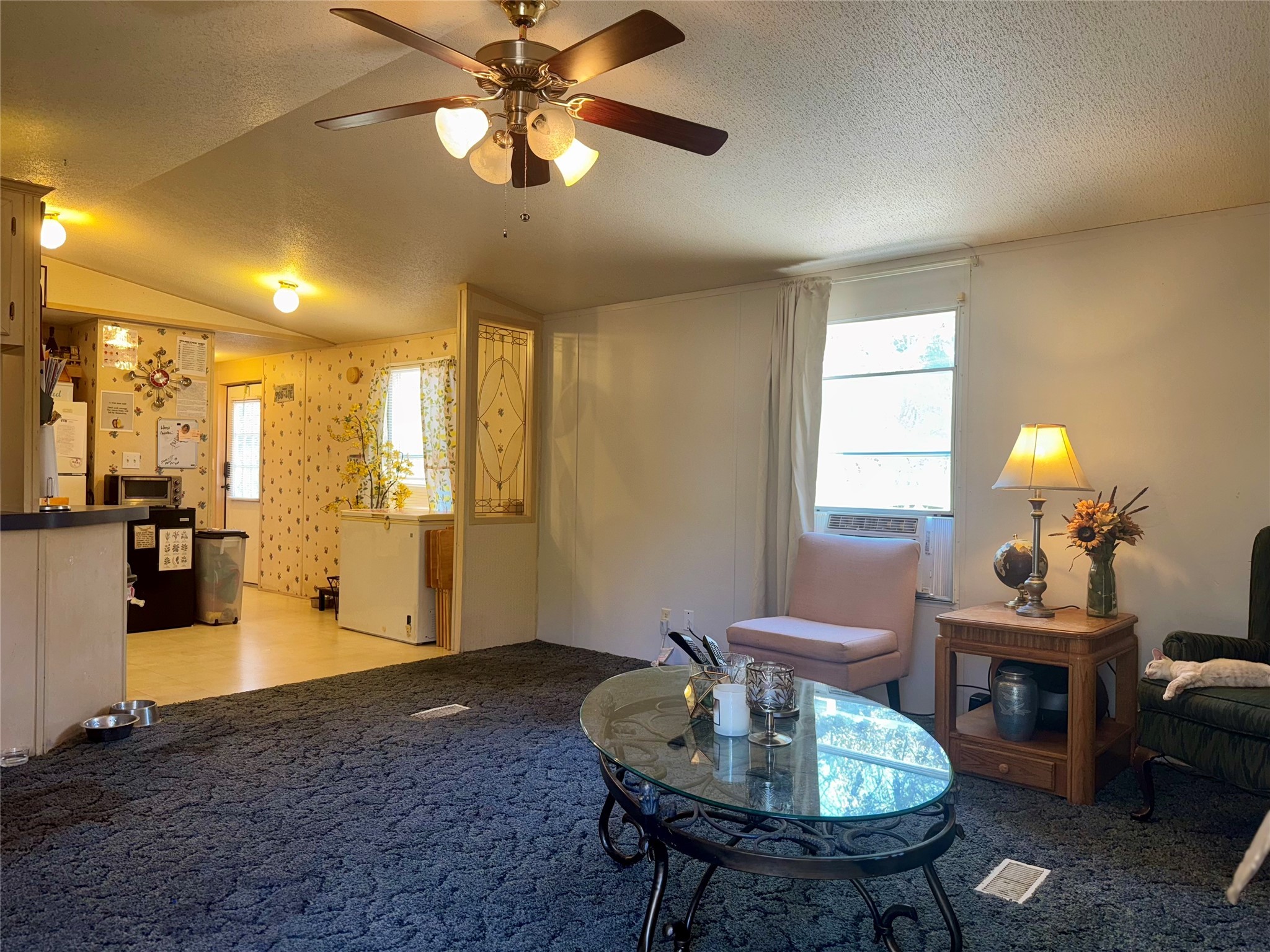 251 Tumbleweed Court Millsap TX 76066