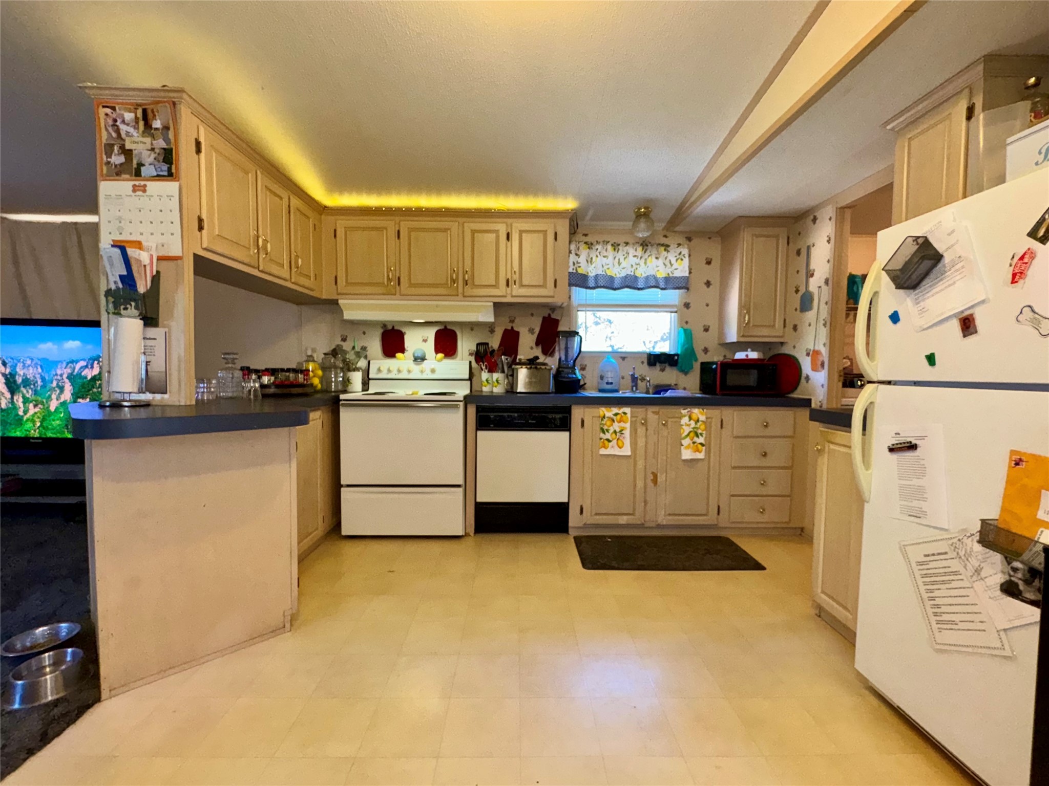 251 Tumbleweed Court Millsap TX 76066