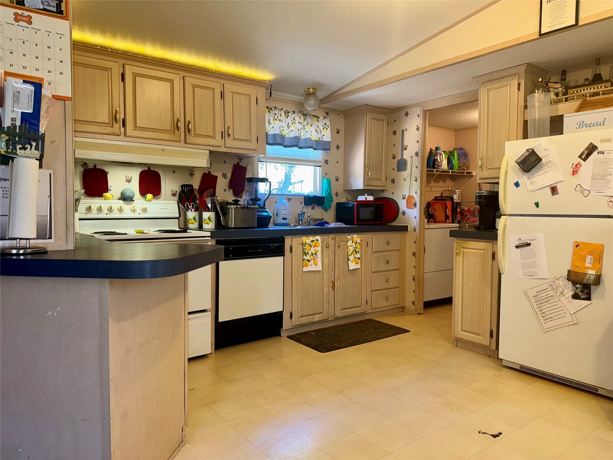 251 Tumbleweed Court Millsap TX 76066