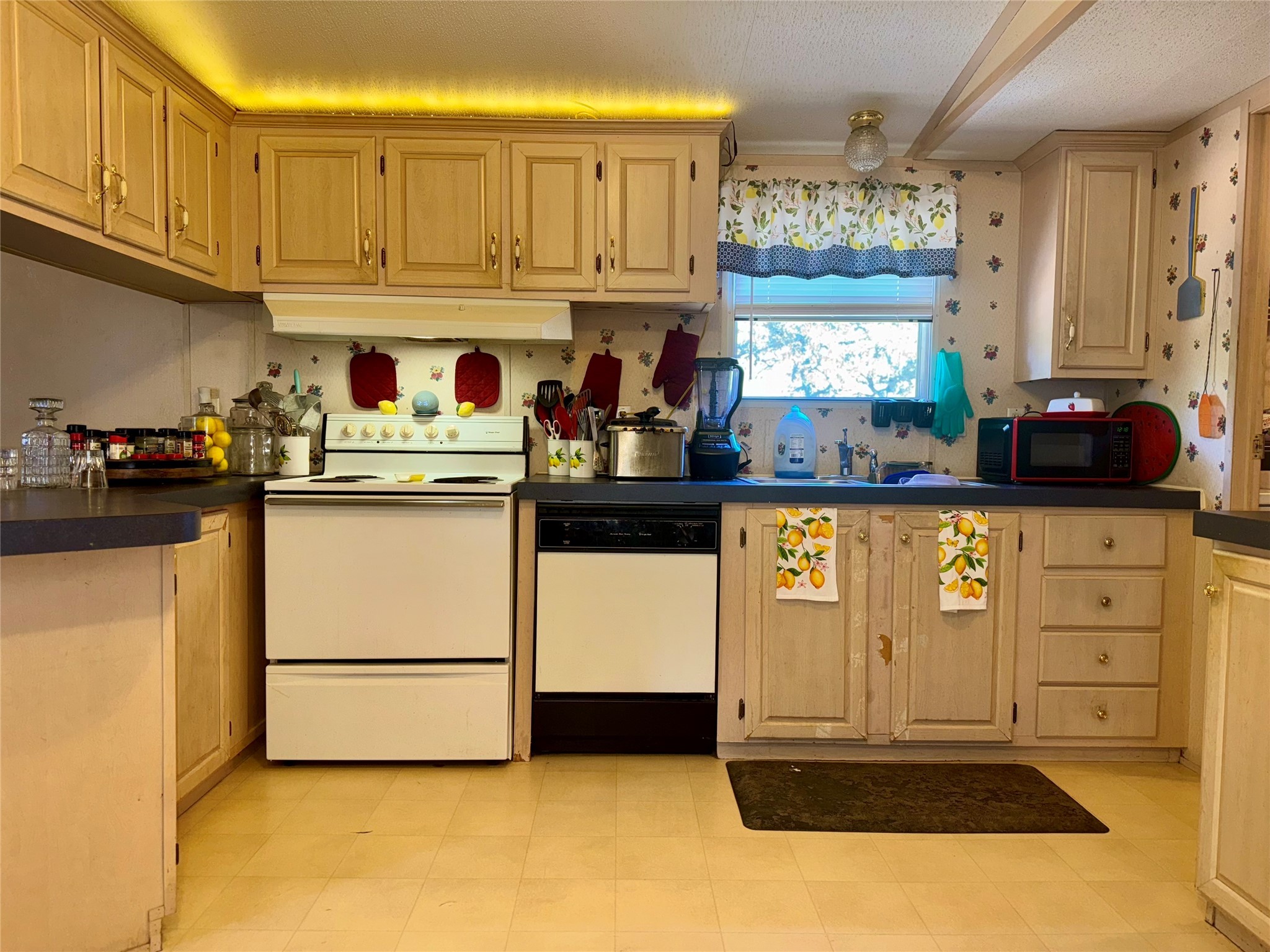 251 Tumbleweed Court Millsap TX 76066