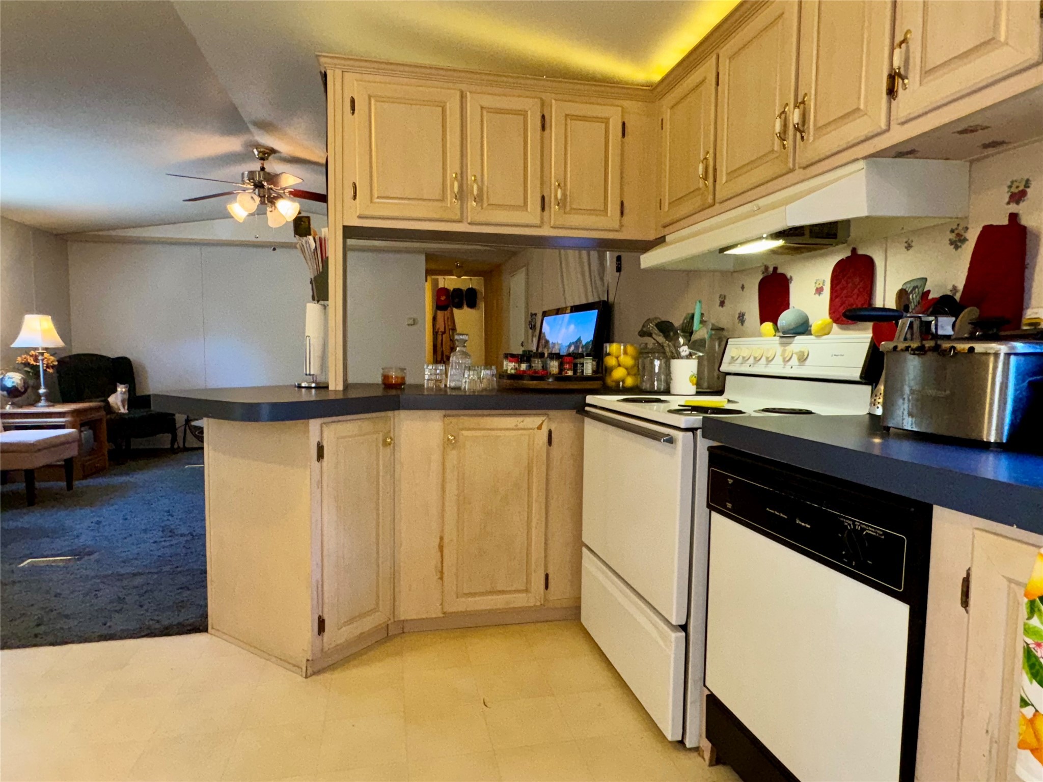 251 Tumbleweed Court Millsap TX 76066