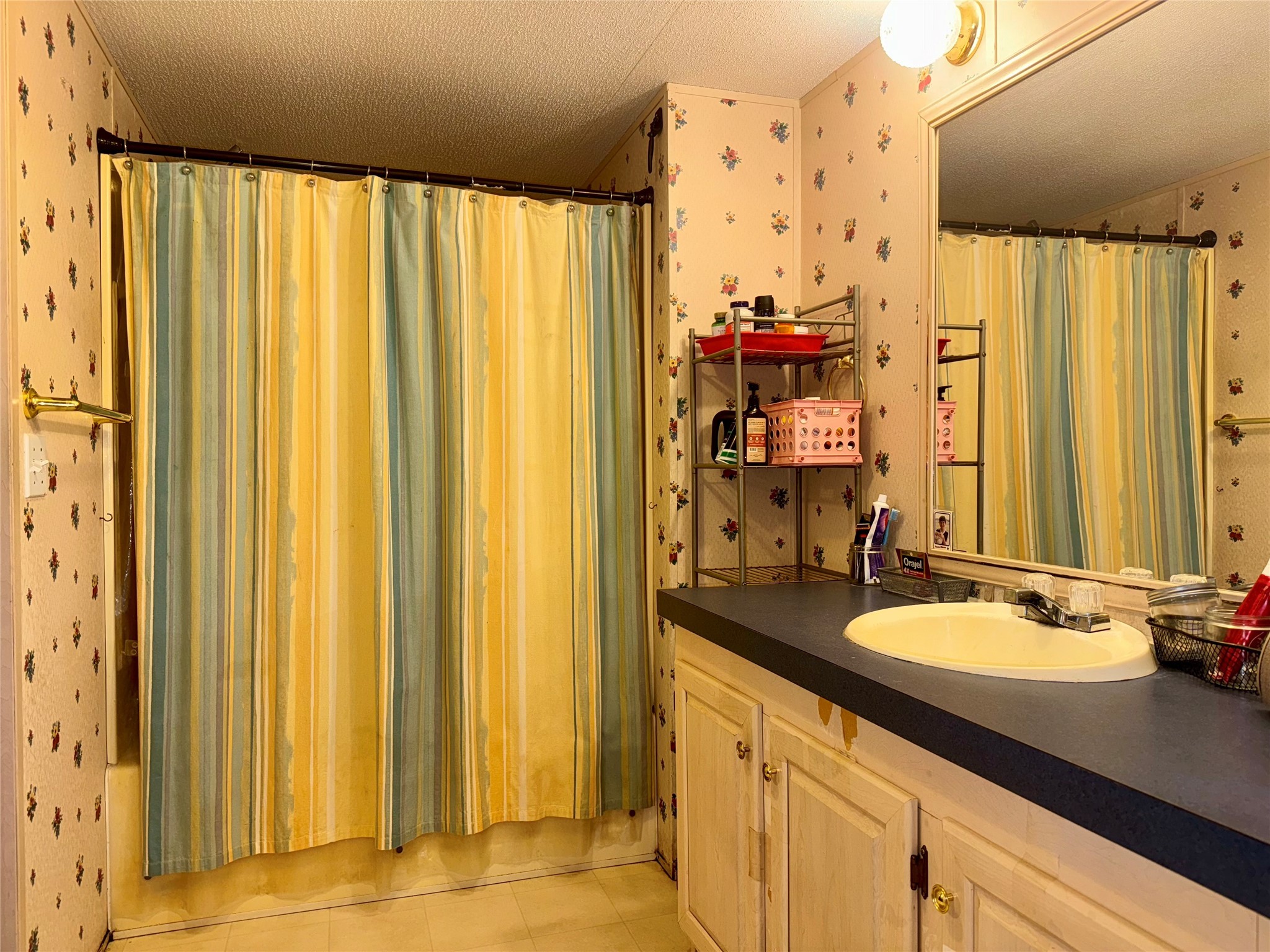 251 Tumbleweed Court Millsap TX 76066