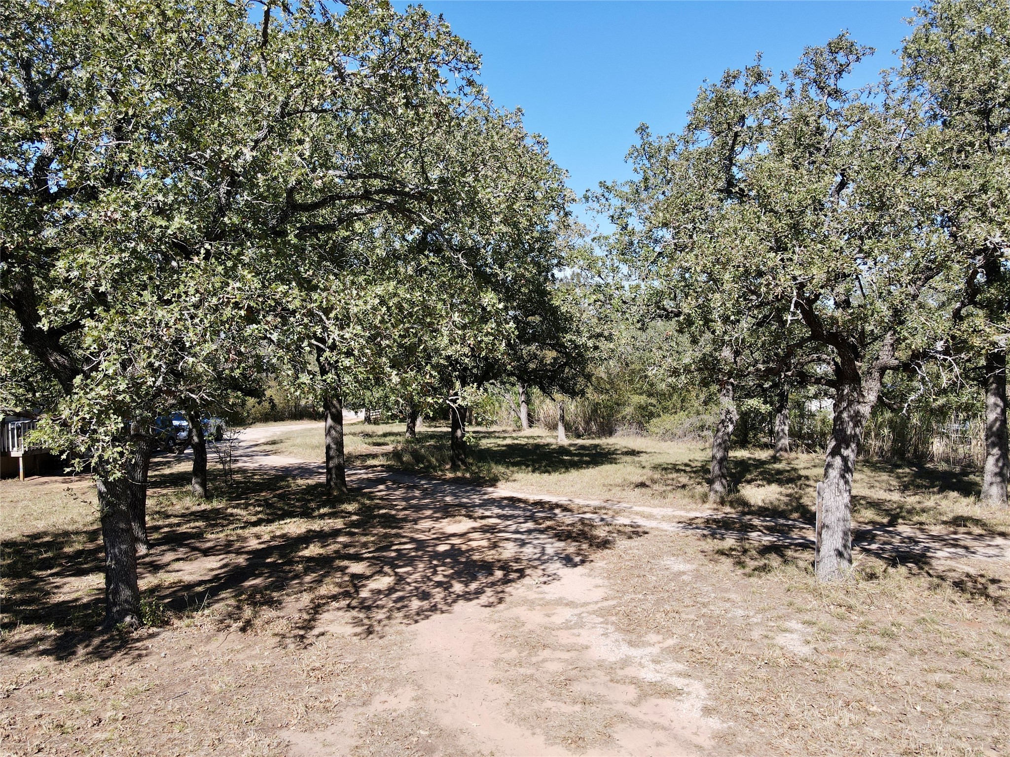 251 Tumbleweed Court Millsap TX 76066