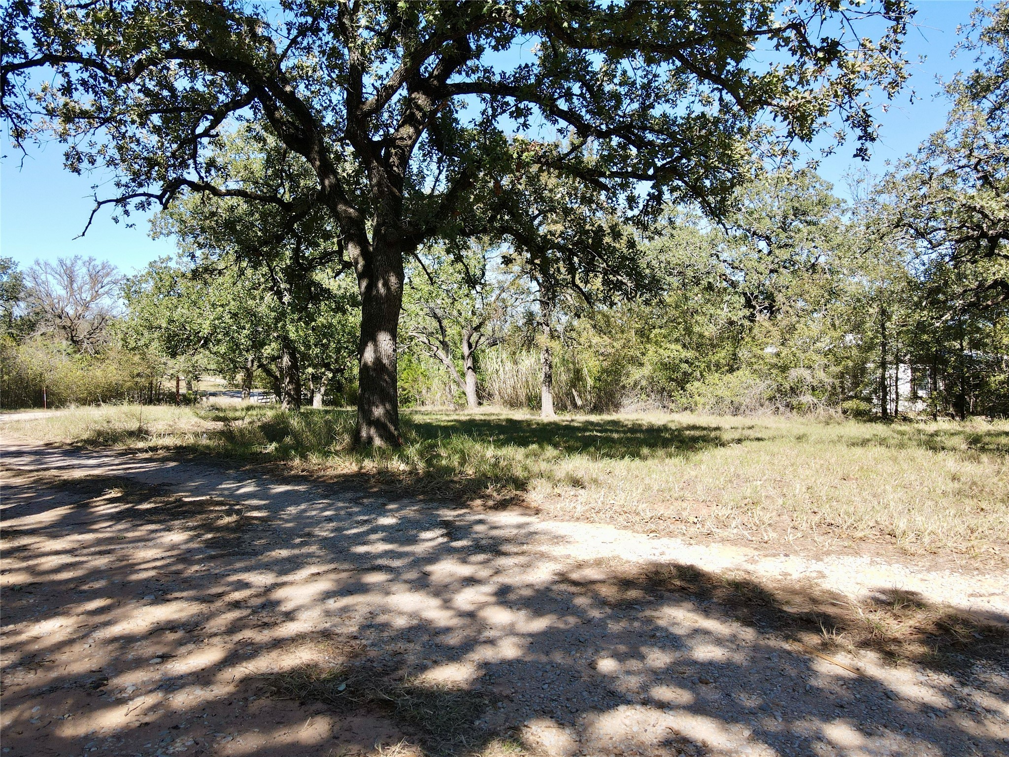 251 Tumbleweed Court Millsap TX 76066