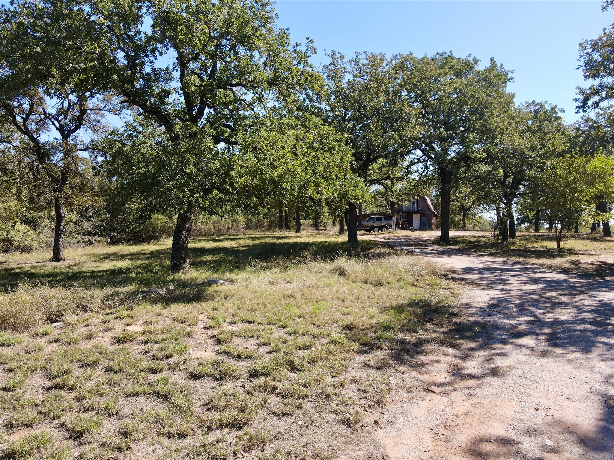 251 Tumbleweed Court Millsap TX 76066