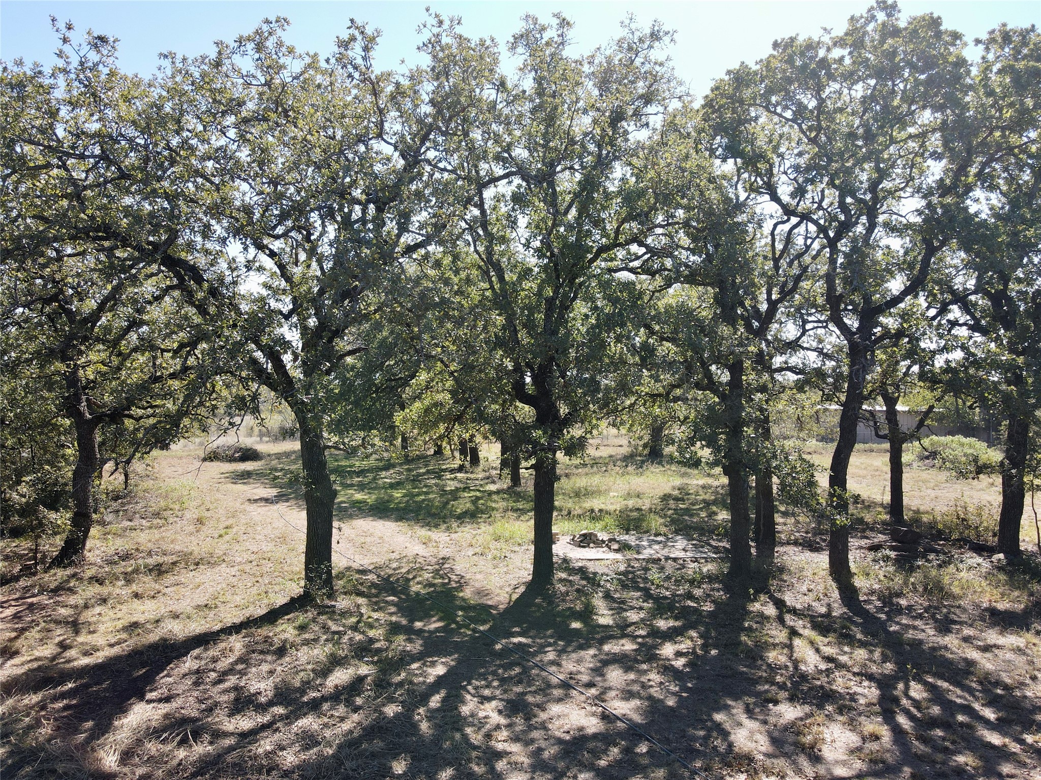 251 Tumbleweed Court Millsap TX 76066