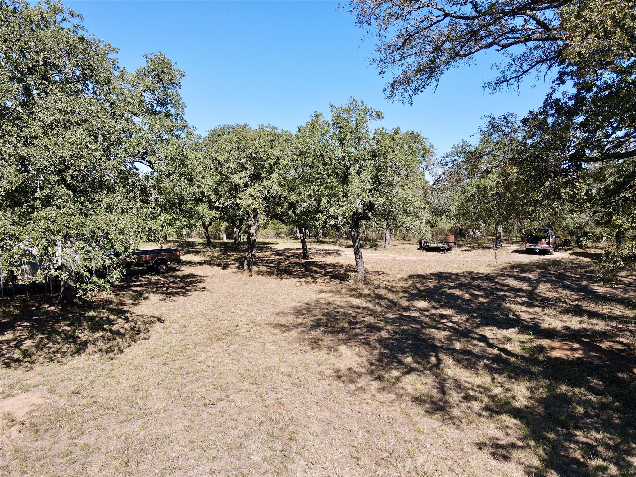 251 Tumbleweed Court Millsap TX 76066