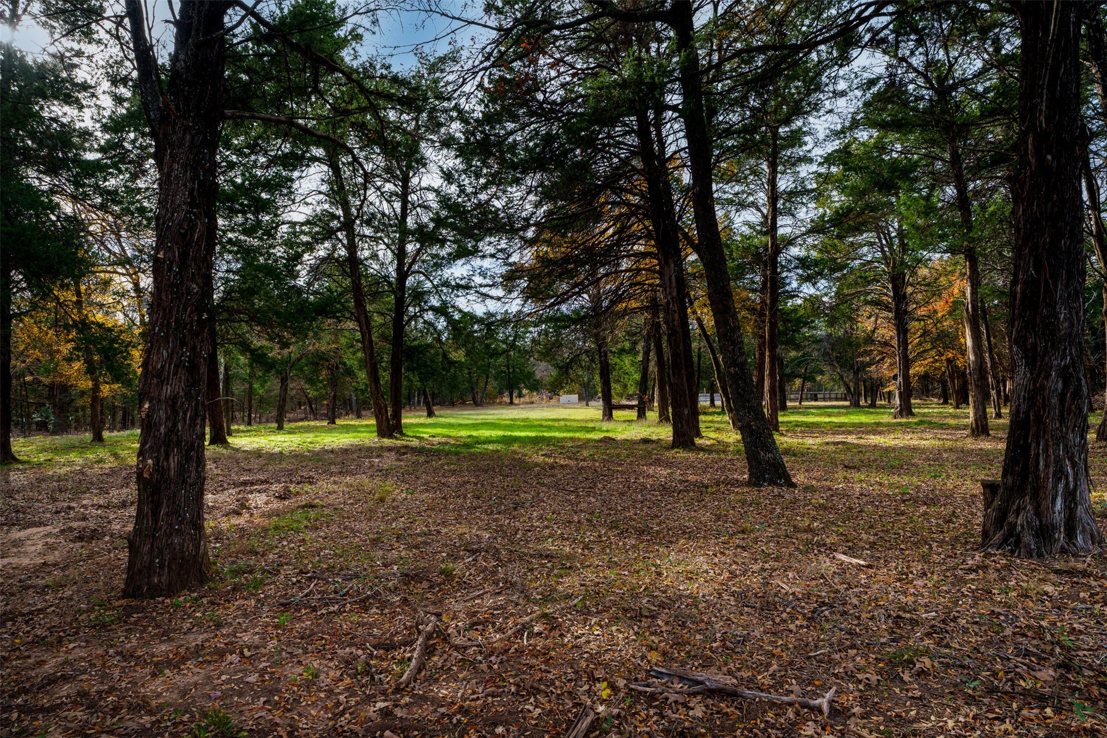 9135 Private Road 5204 Athens TX 75751