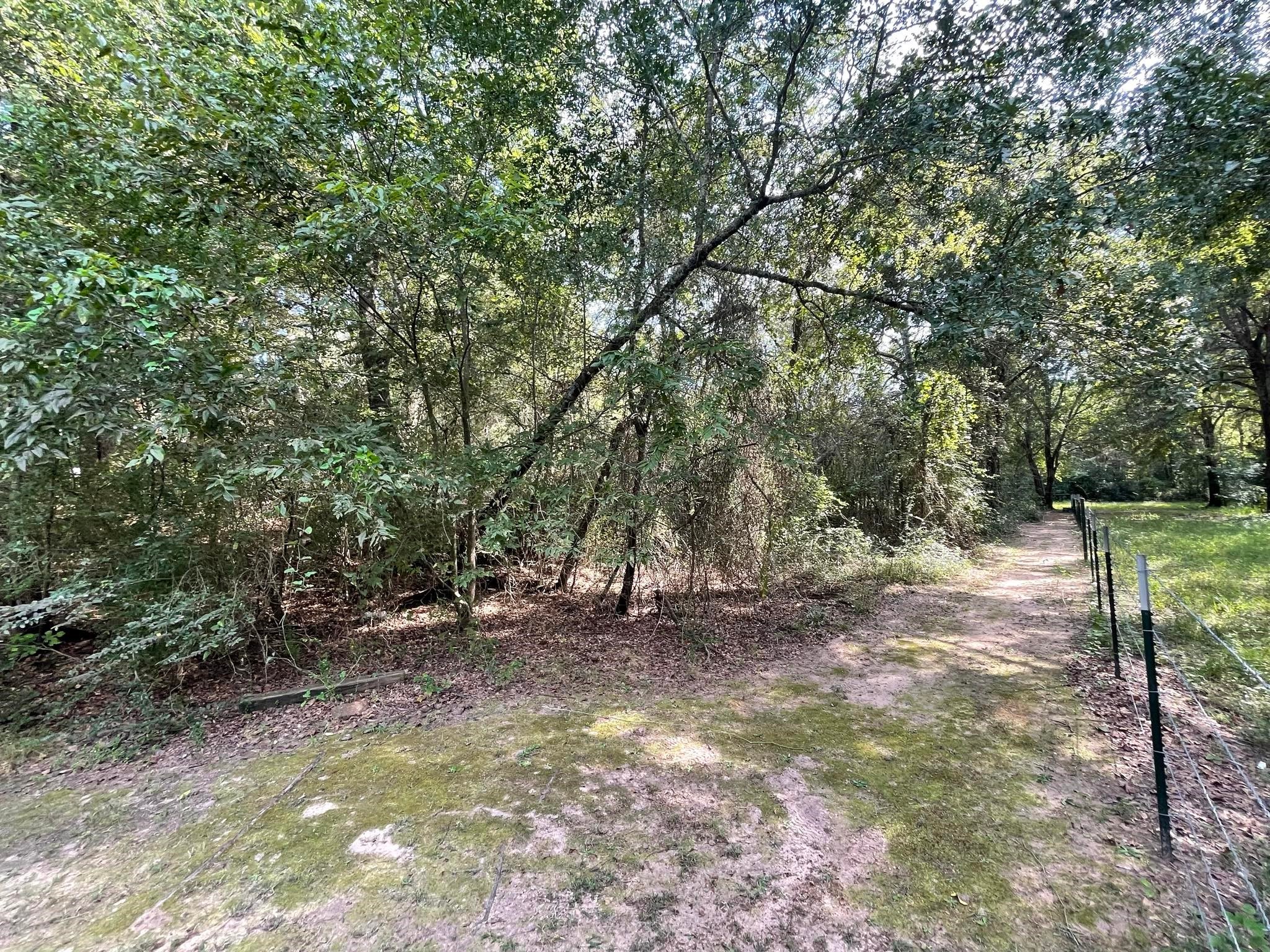 16399 N Us Highway 287 Tennessee Colony TX 75861