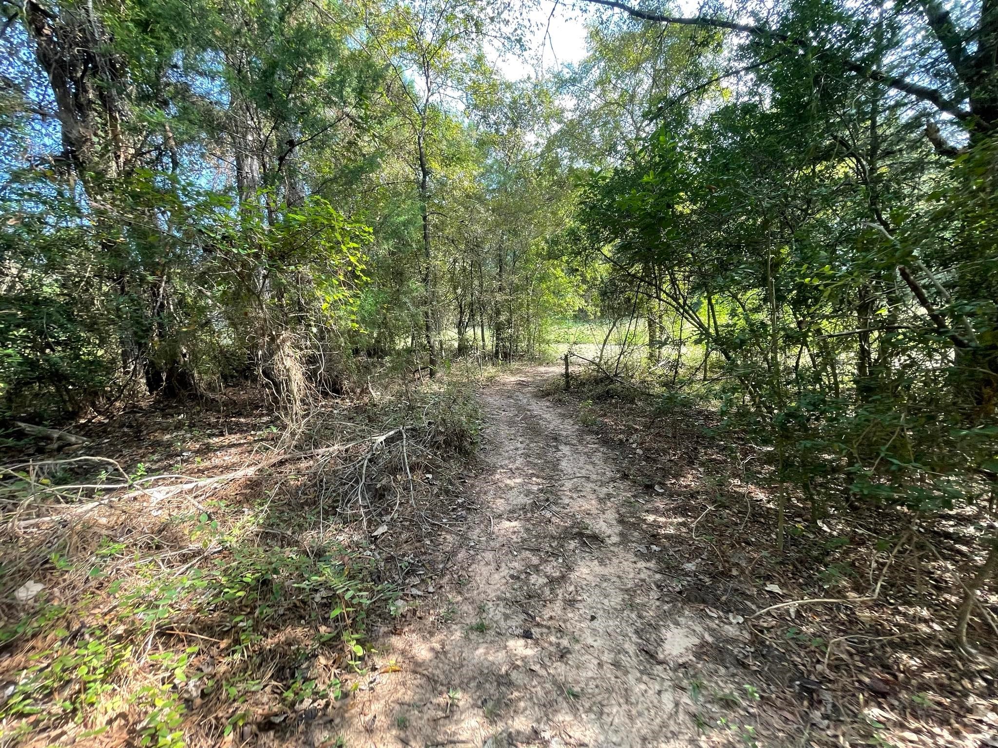 16399 N Us Highway 287 Tennessee Colony TX 75861