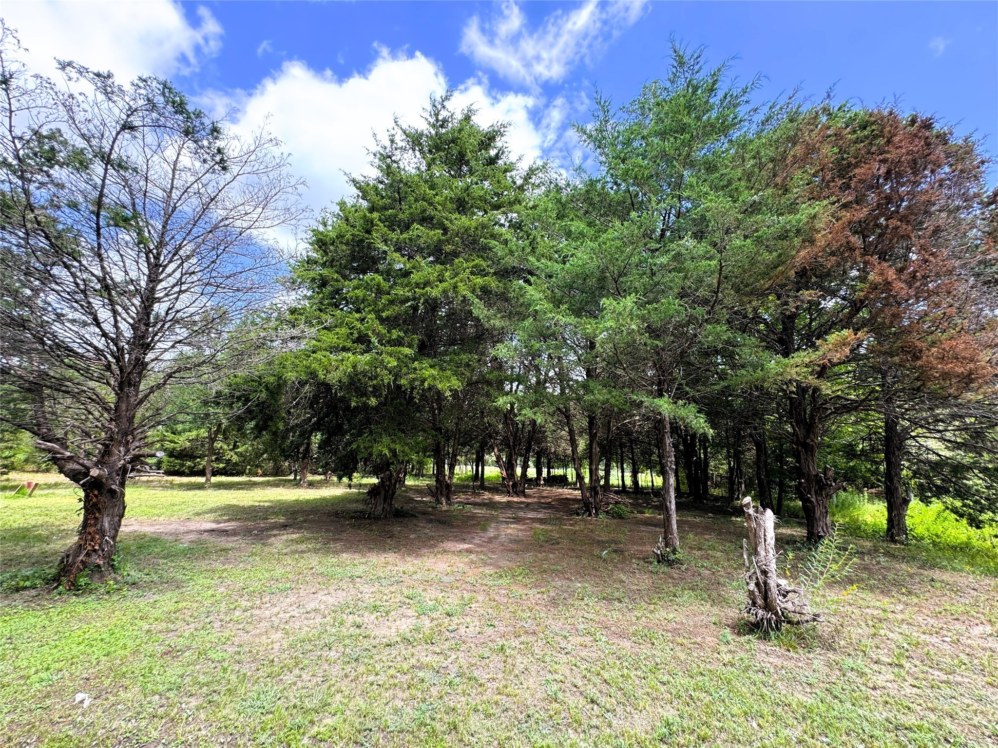 2087 Meadow Road Kerens TX 75144