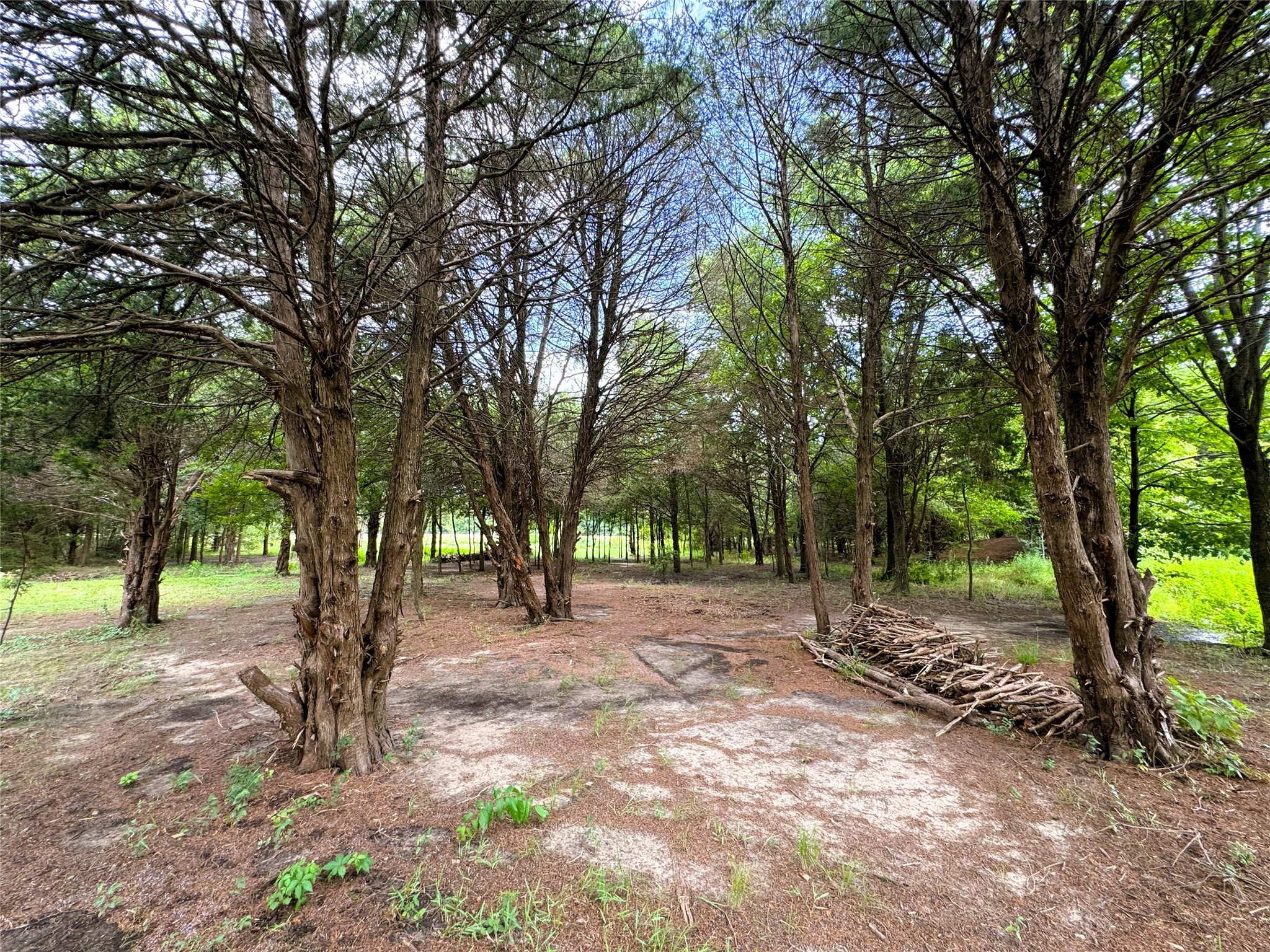 2087 Meadow Road Kerens TX 75144