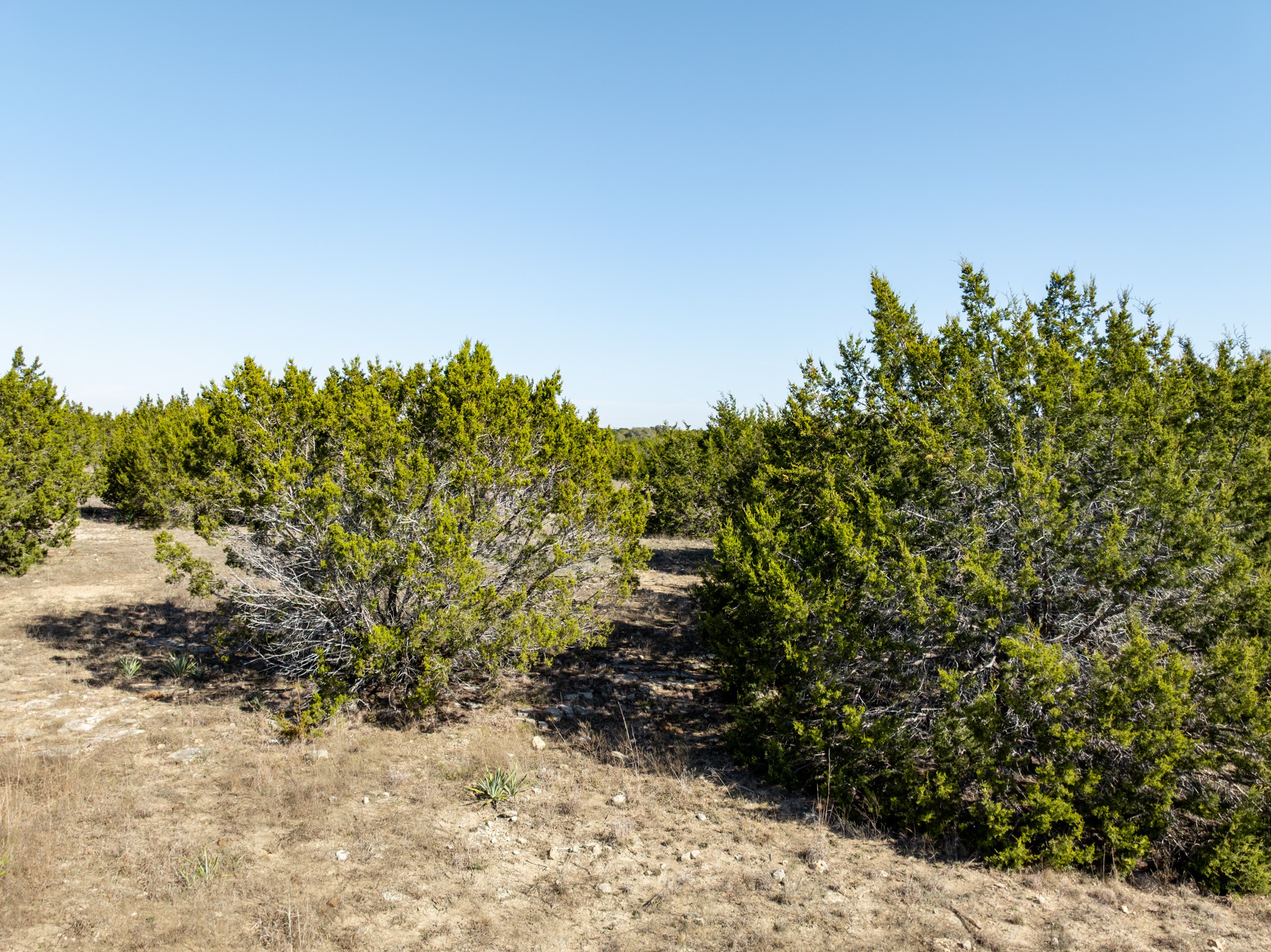 1141 Pitchfork Ranch Road Copperas Cove TX 76522