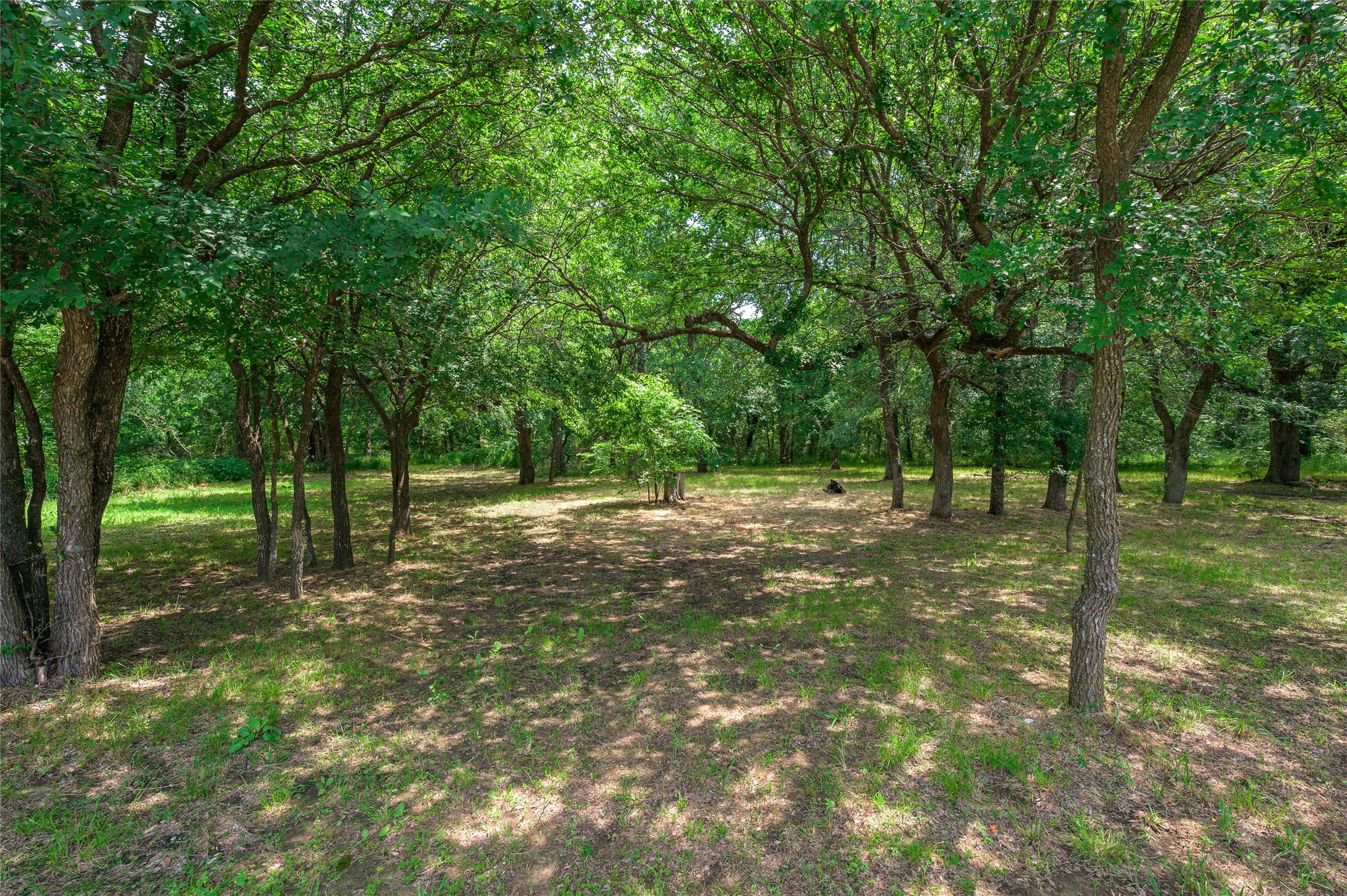 1742 Reynolds Lane Sherman TX 75092