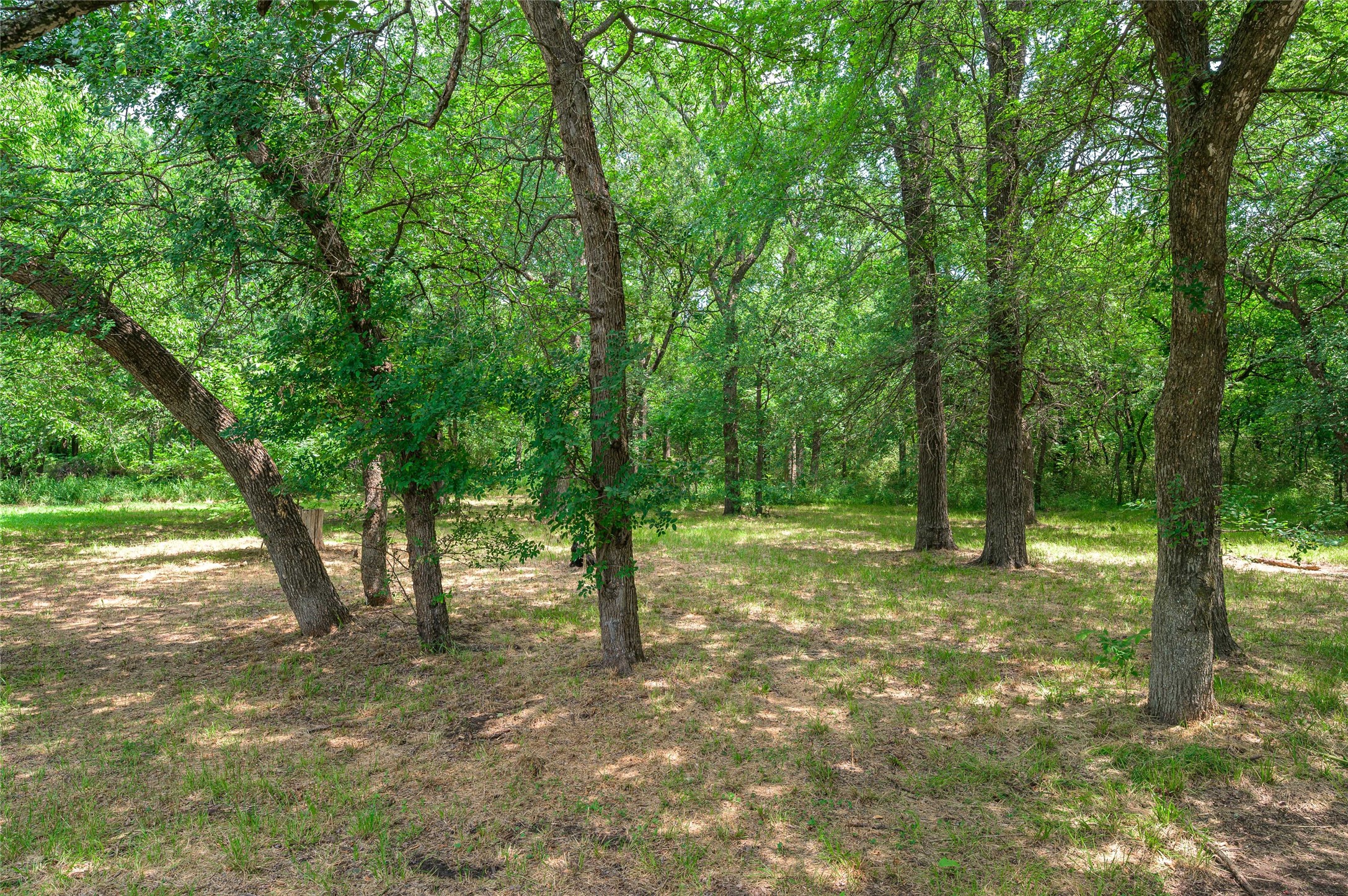 1742 Reynolds Lane Sherman TX 75092