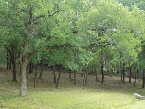 203 S Ridgeview Court Azle TX 76020