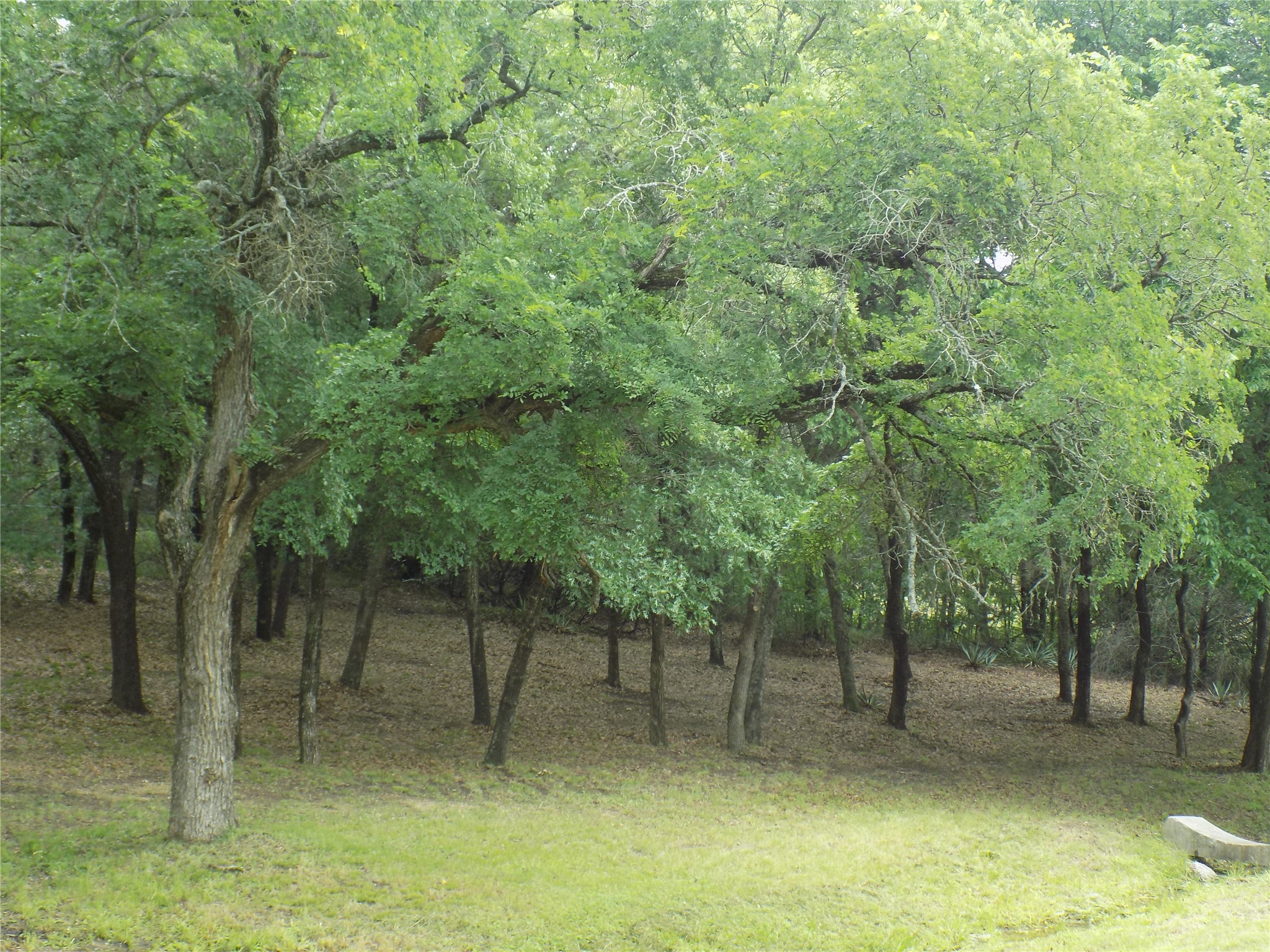 203 S Ridgeview Court Azle TX 76020