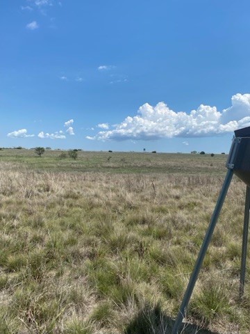 2565 County Road 617 Hamilton TX 76531