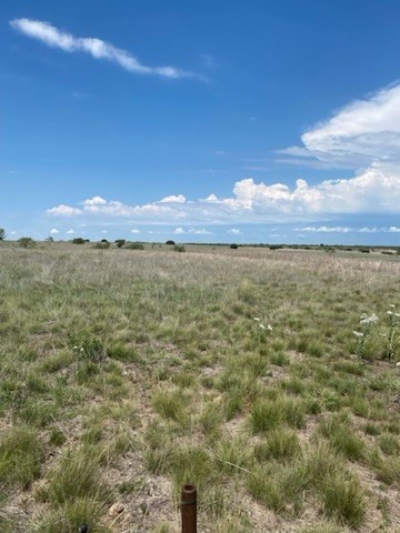 2565 County Road 617 Hamilton TX 76531