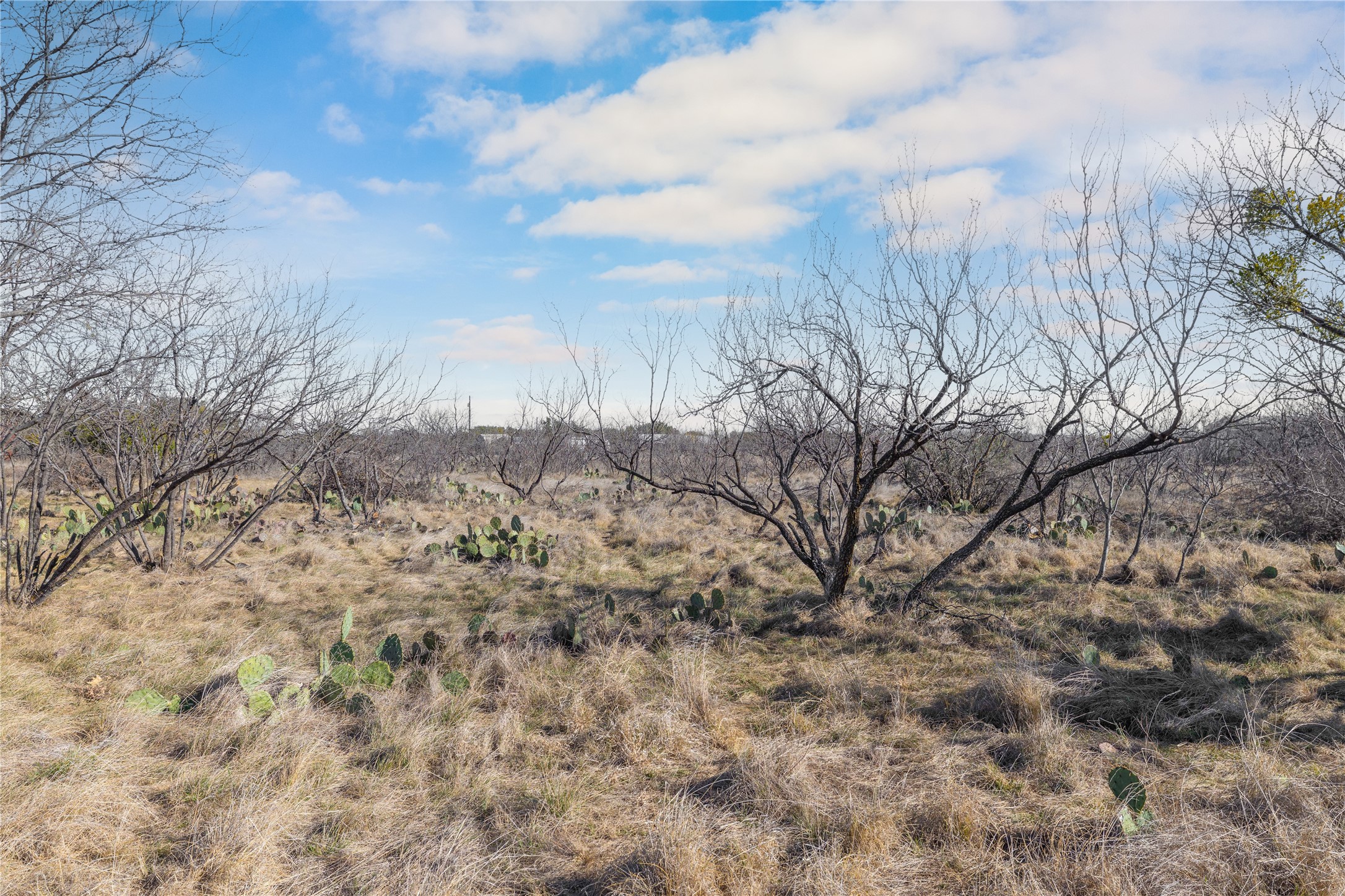 3393 Doe Trail Brownwood TX 76801