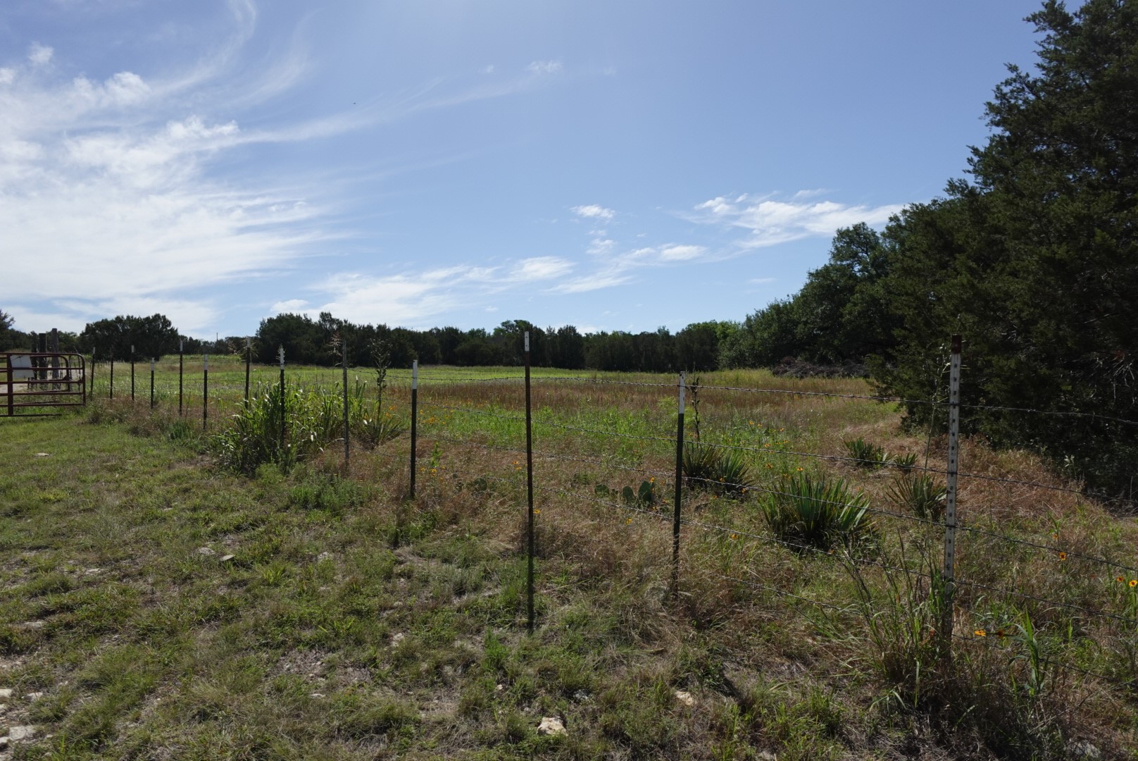 30495 State Highway 6 Hico TX 76457