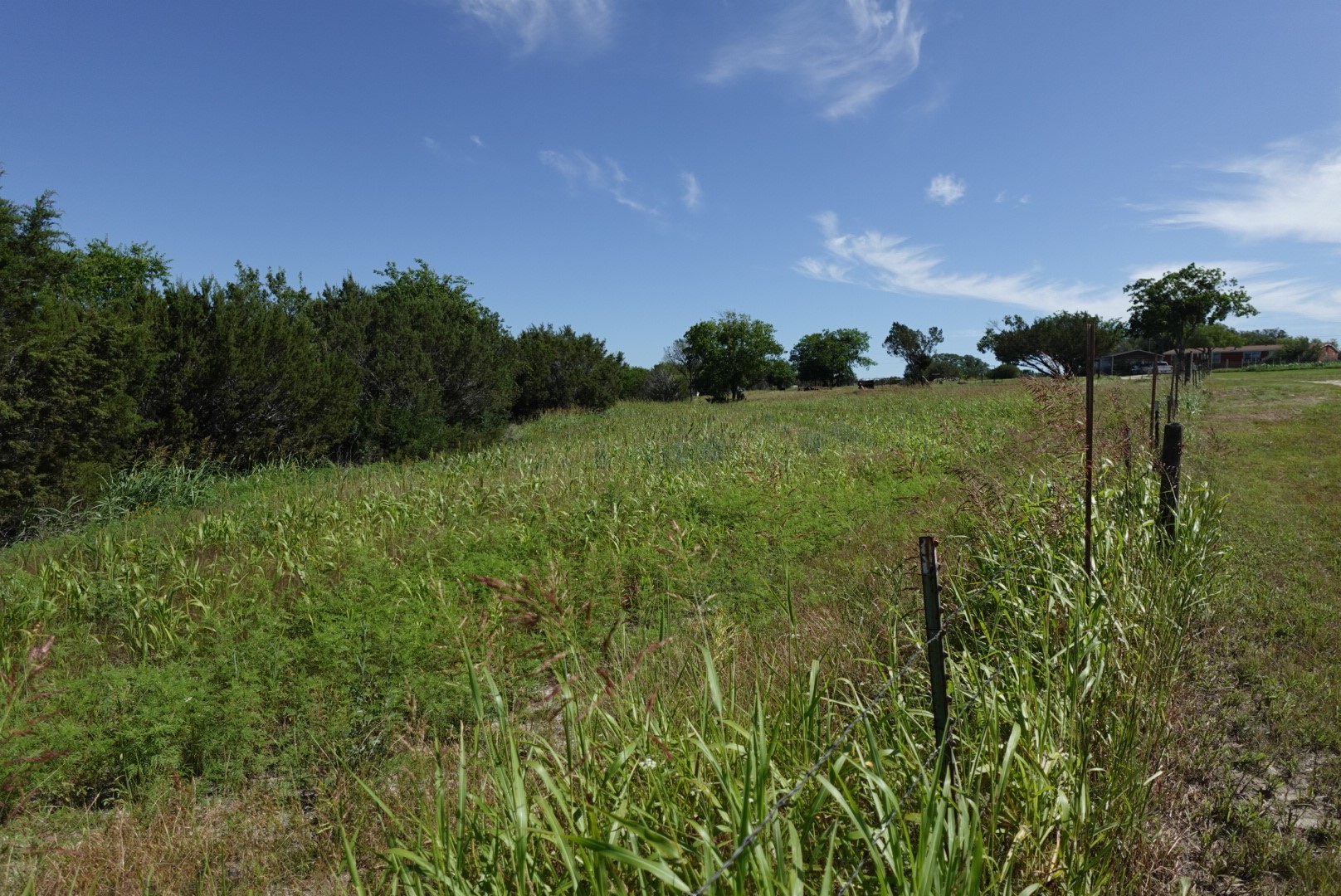 30495 State Highway 6 Hico TX 76457