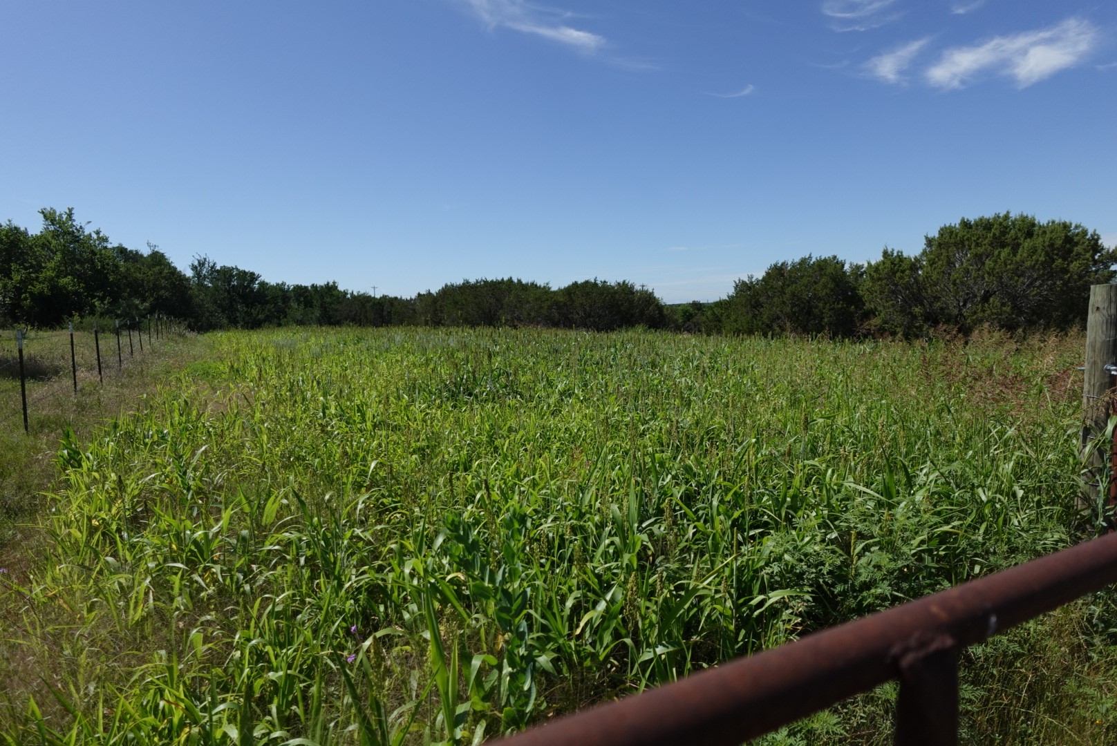 30495 State Highway 6 Hico TX 76457