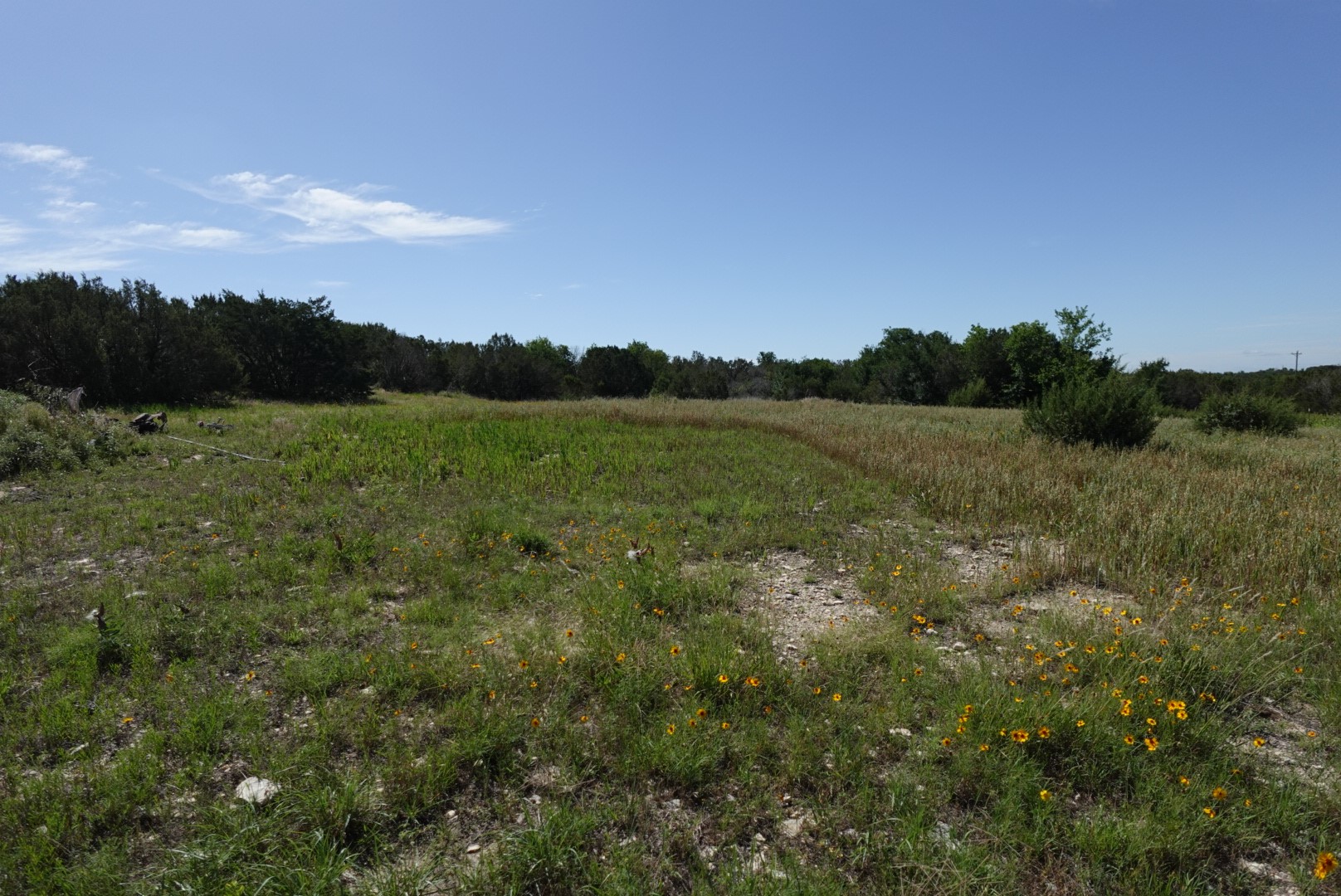 30495 State Highway 6 Hico TX 76457