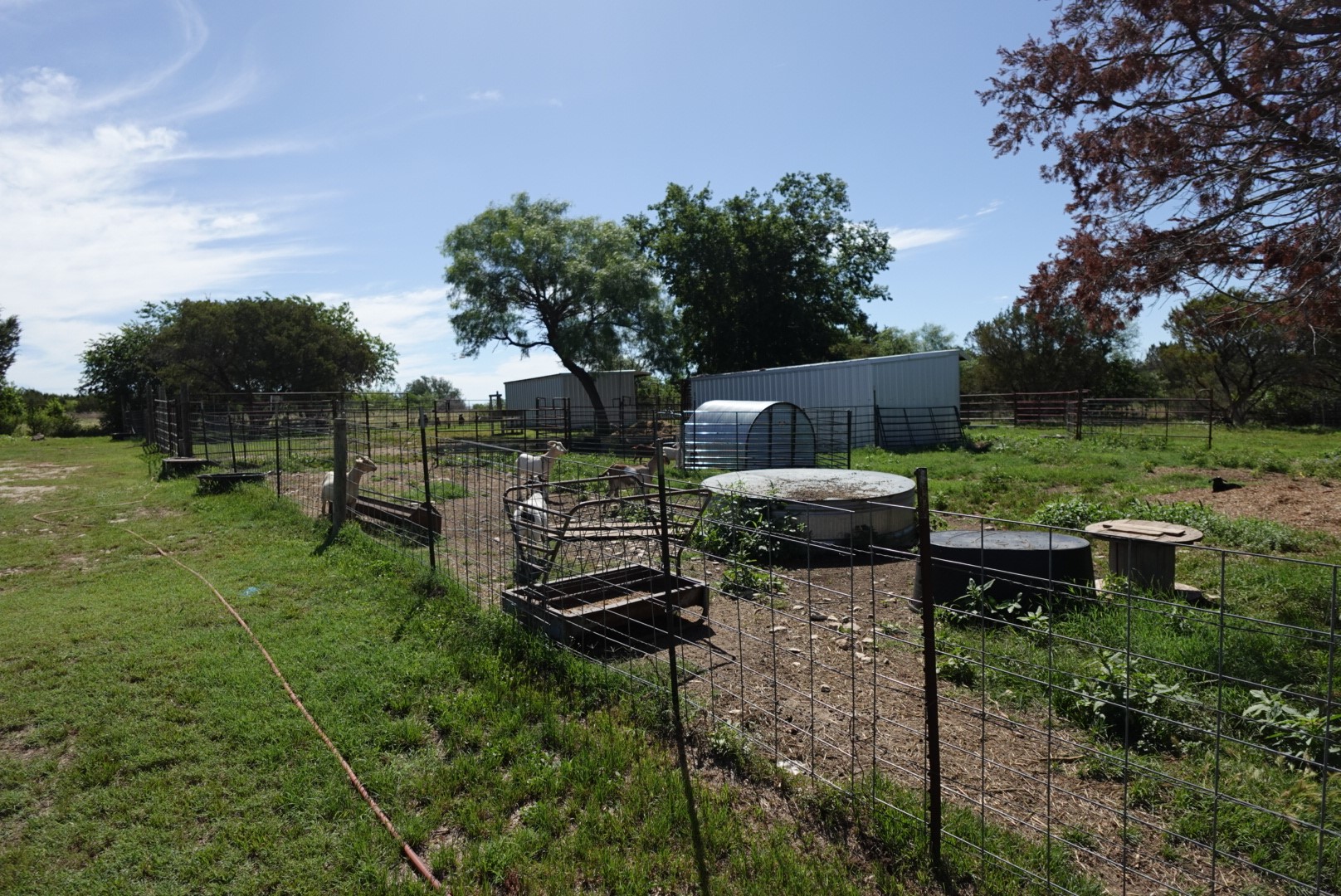 30495 State Highway 6 Hico TX 76457