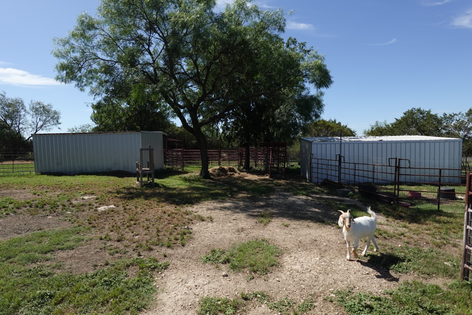 30495 State Highway 6 Hico TX 76457