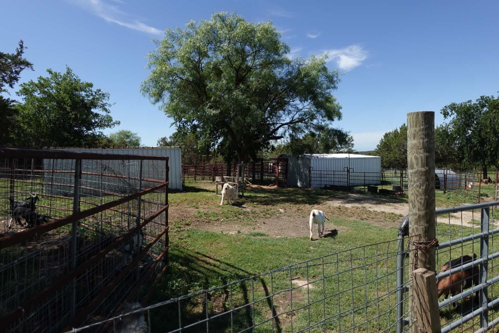30495 State Highway 6 Hico TX 76457