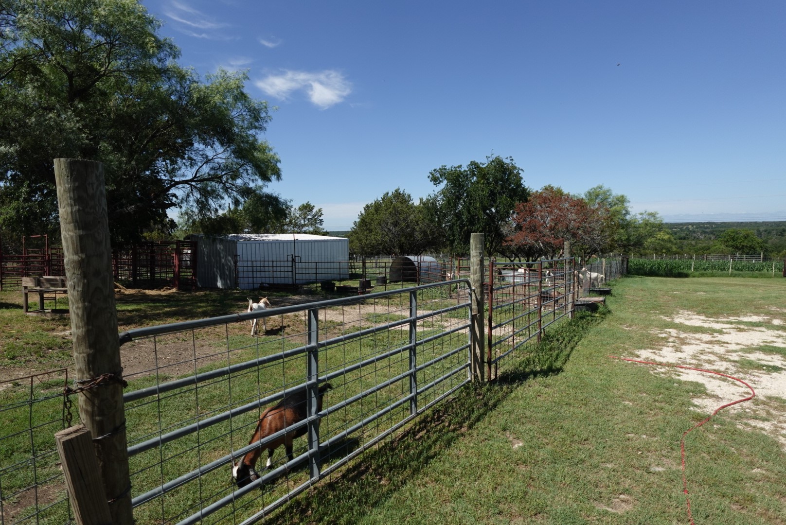 30495 State Highway 6 Hico TX 76457