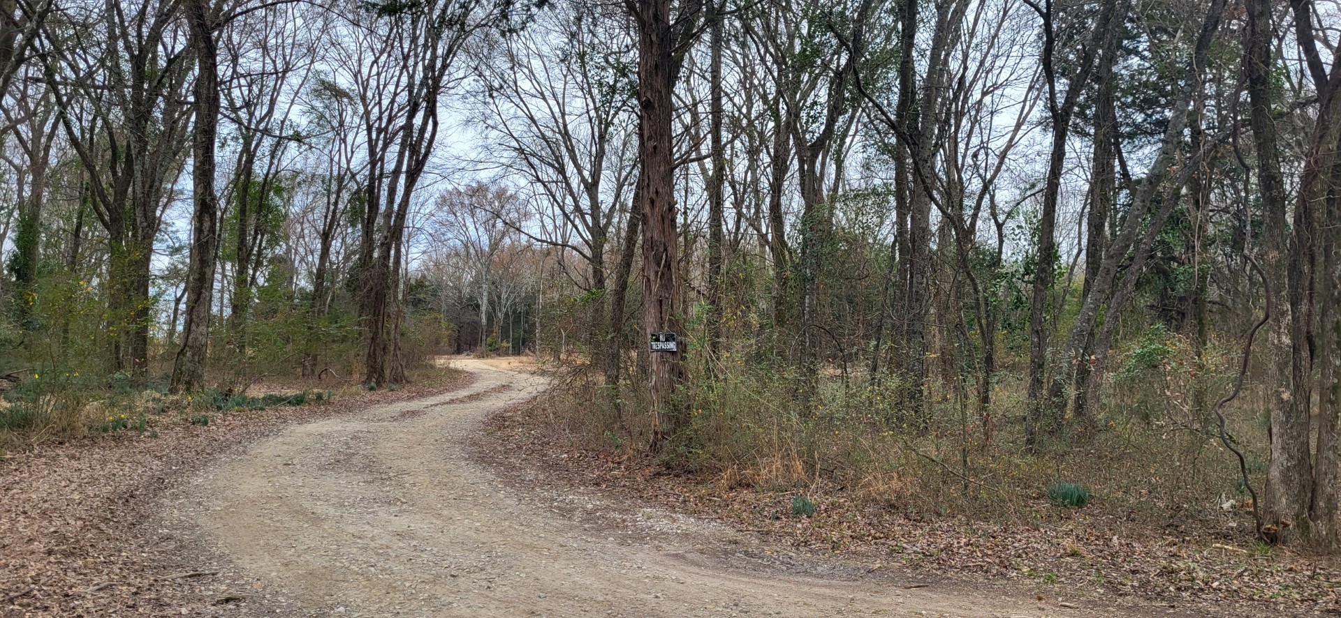 2260 County Road 1439 Sulphur Springs TX 75482