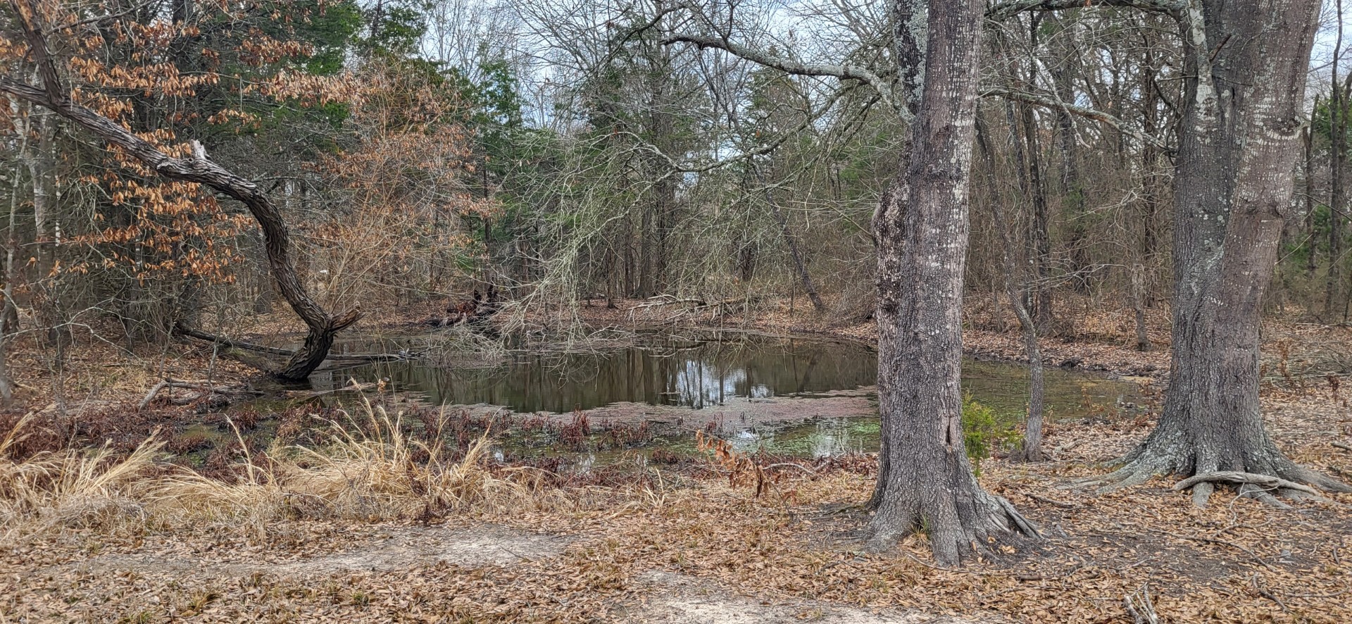 2260 County Road 1439 Sulphur Springs TX 75482
