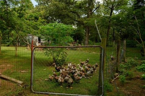 1468 Cedar Mills Road Gordonville TX 76245