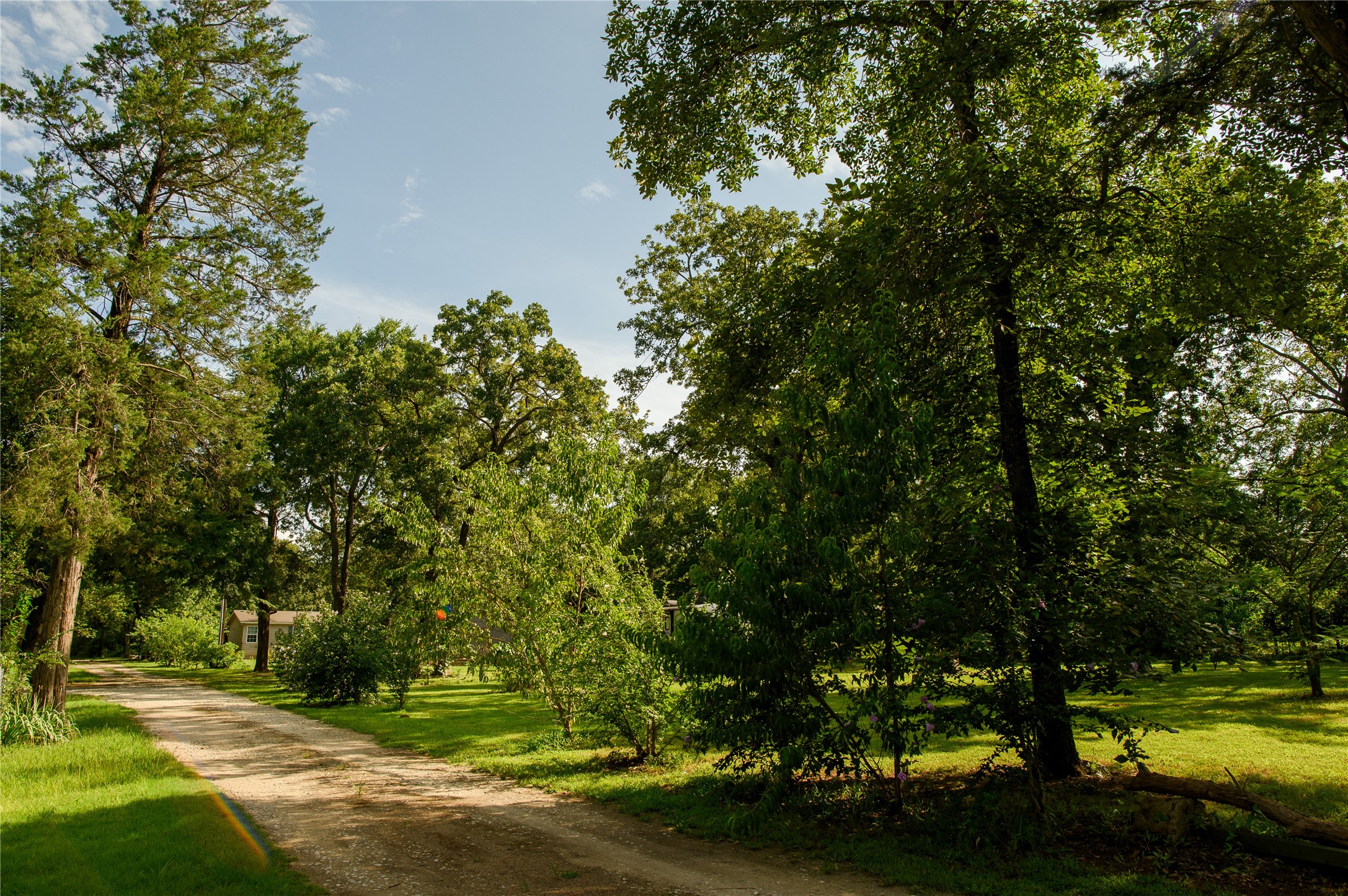 1468 Cedar Mills Road Gordonville TX 76245