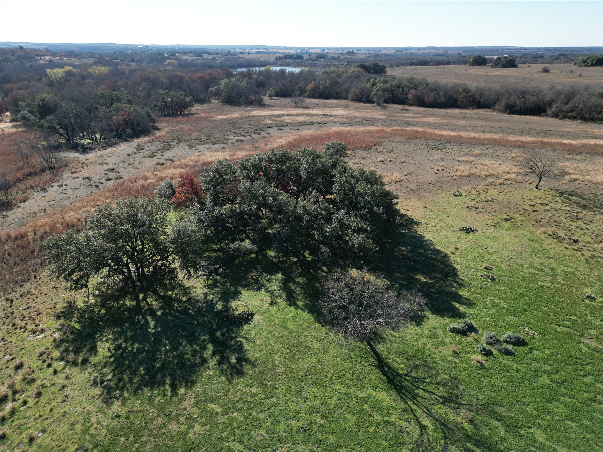 5687 County Road 371 Dublin TX 76446