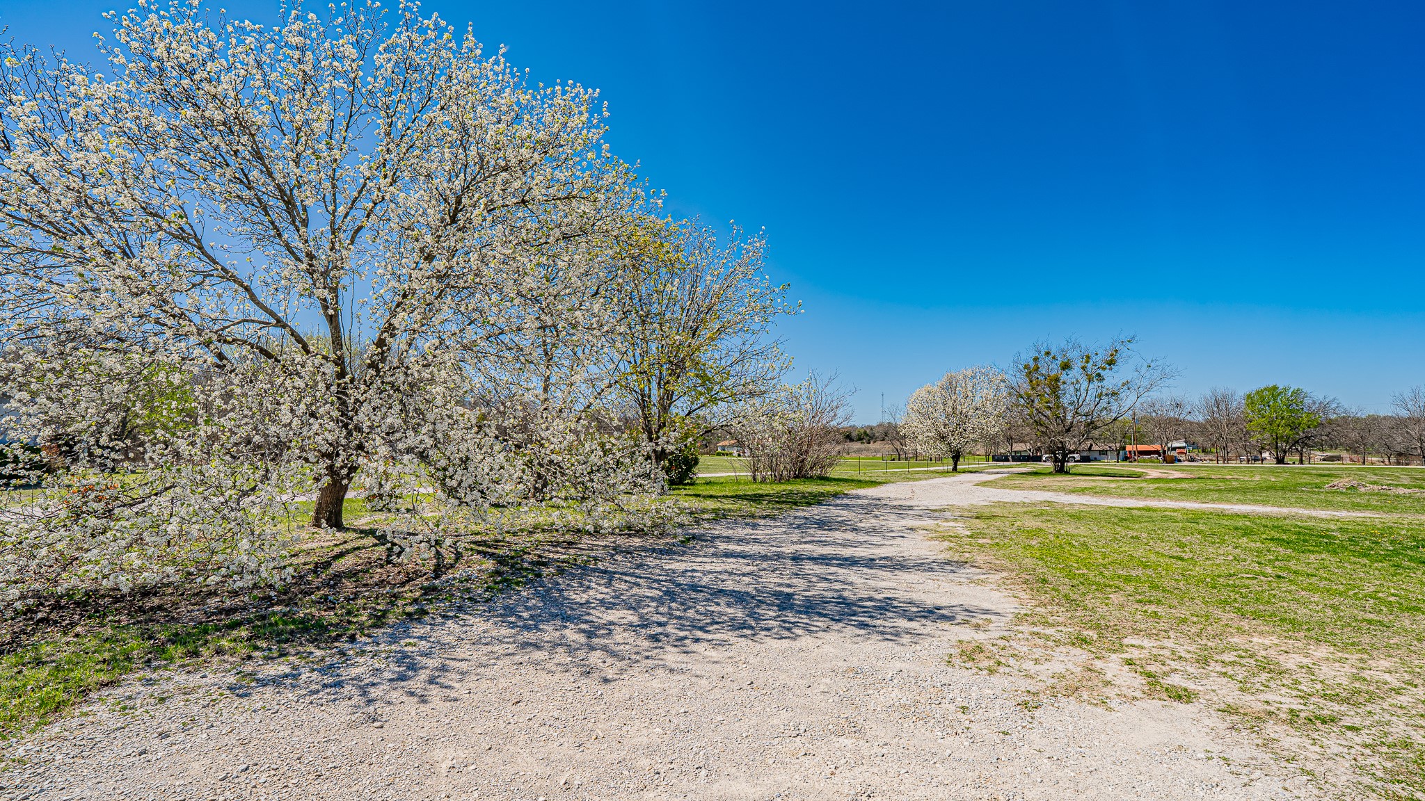 528 Stonegate Drive Paradise TX 76073