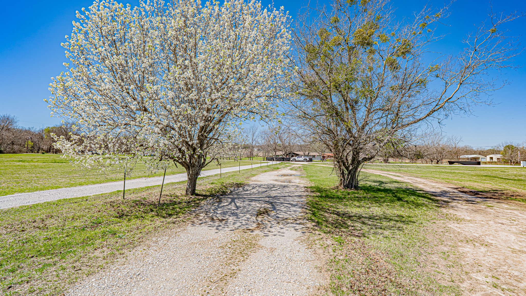 528 Stonegate Drive Paradise TX 76073
