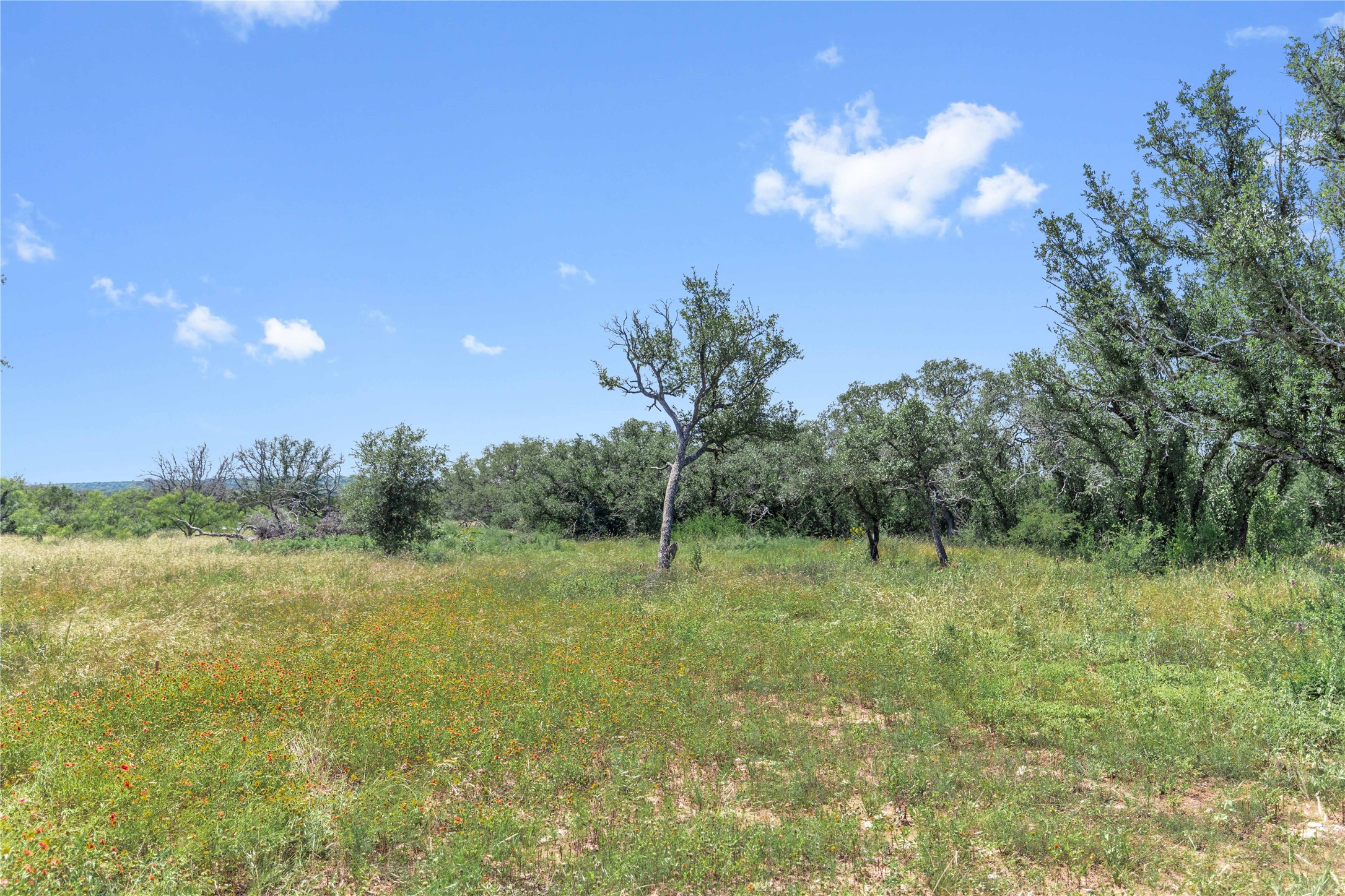 16137 Hwy 377 S Brookesmith TX 76827