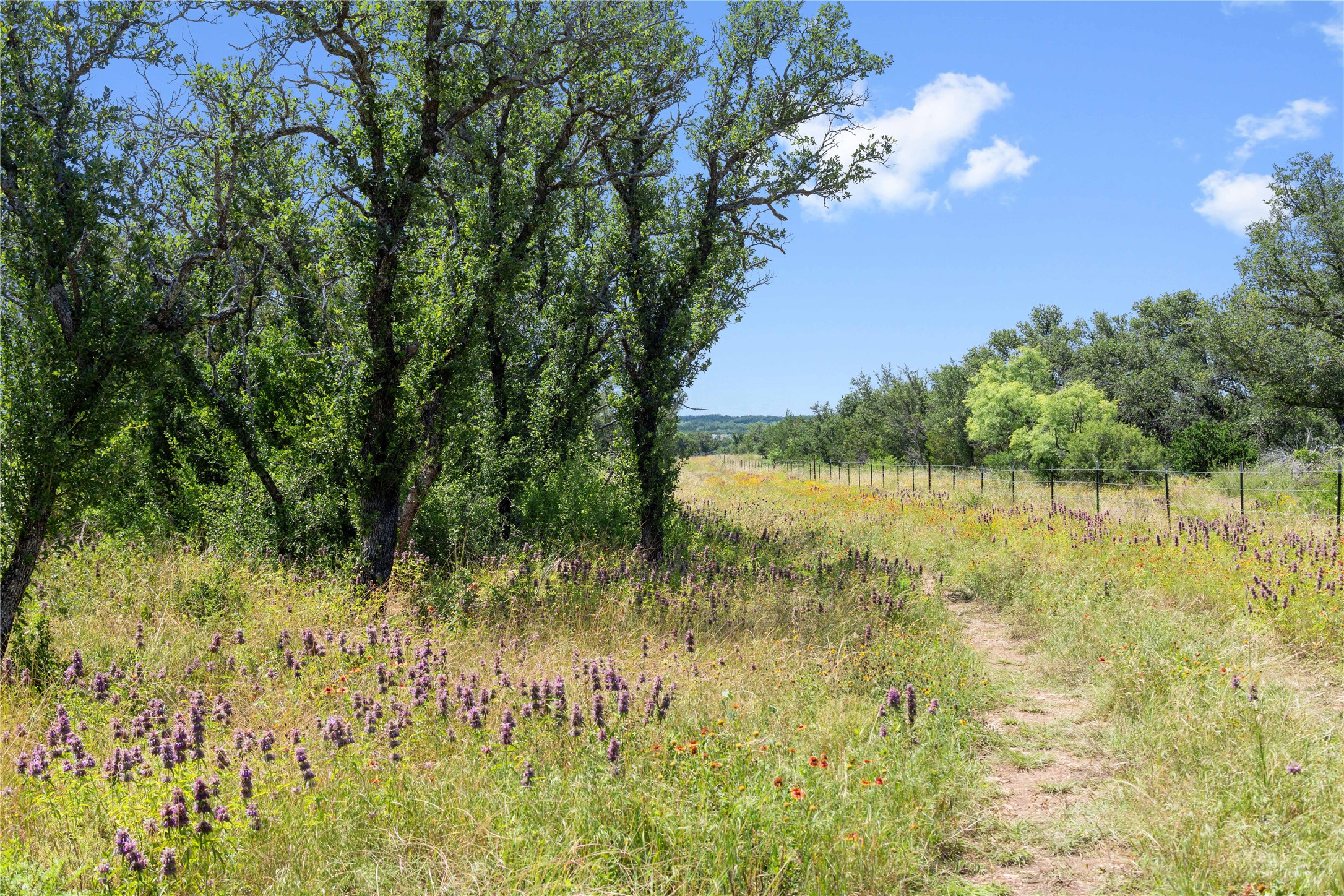 16137 Hwy 377 S Brookesmith TX 76827