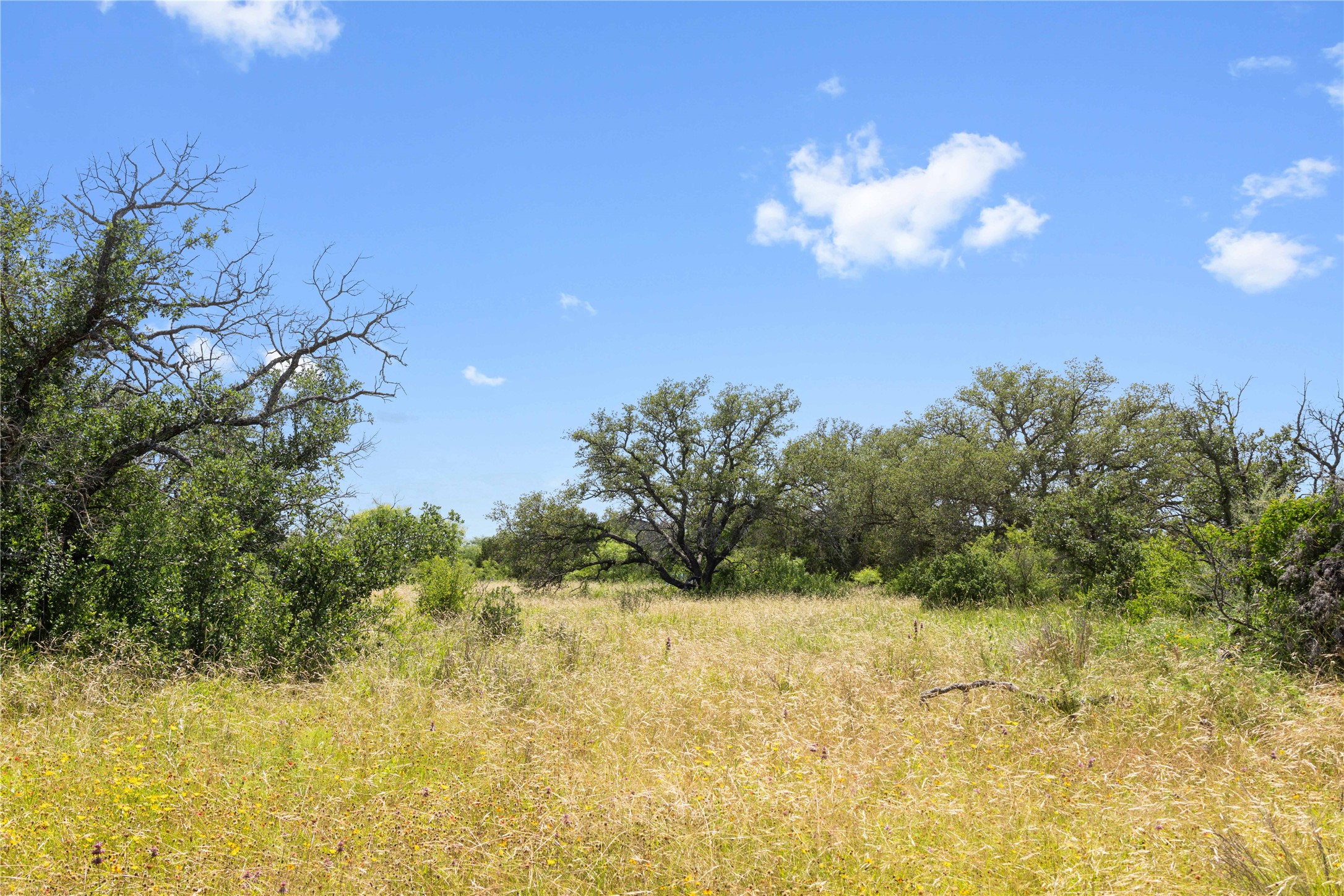 16137 Hwy 377 S Brookesmith TX 76827