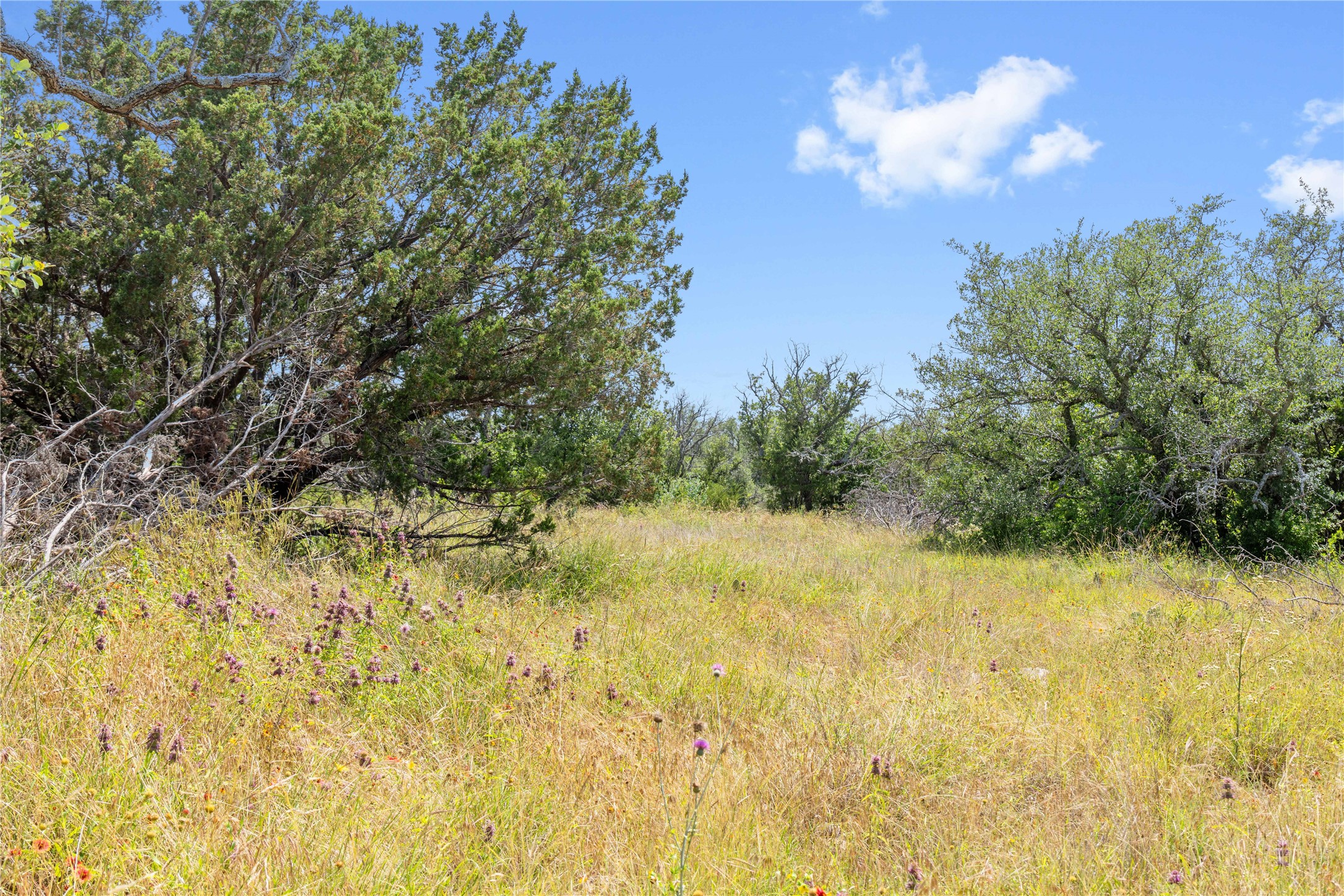 16137 Hwy 377 S Brookesmith TX 76827