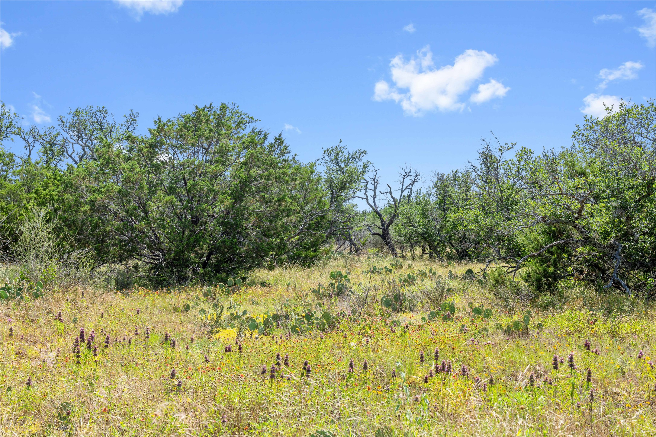 16137 Hwy 377 S Brookesmith TX 76827