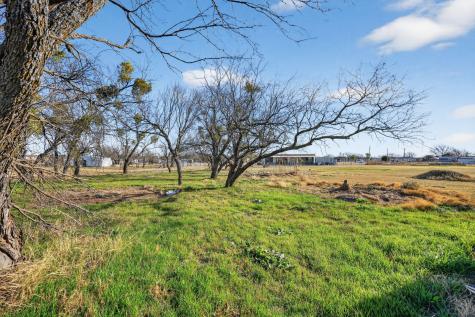 1550 Wild Horse Lane Stephenville TX 76401