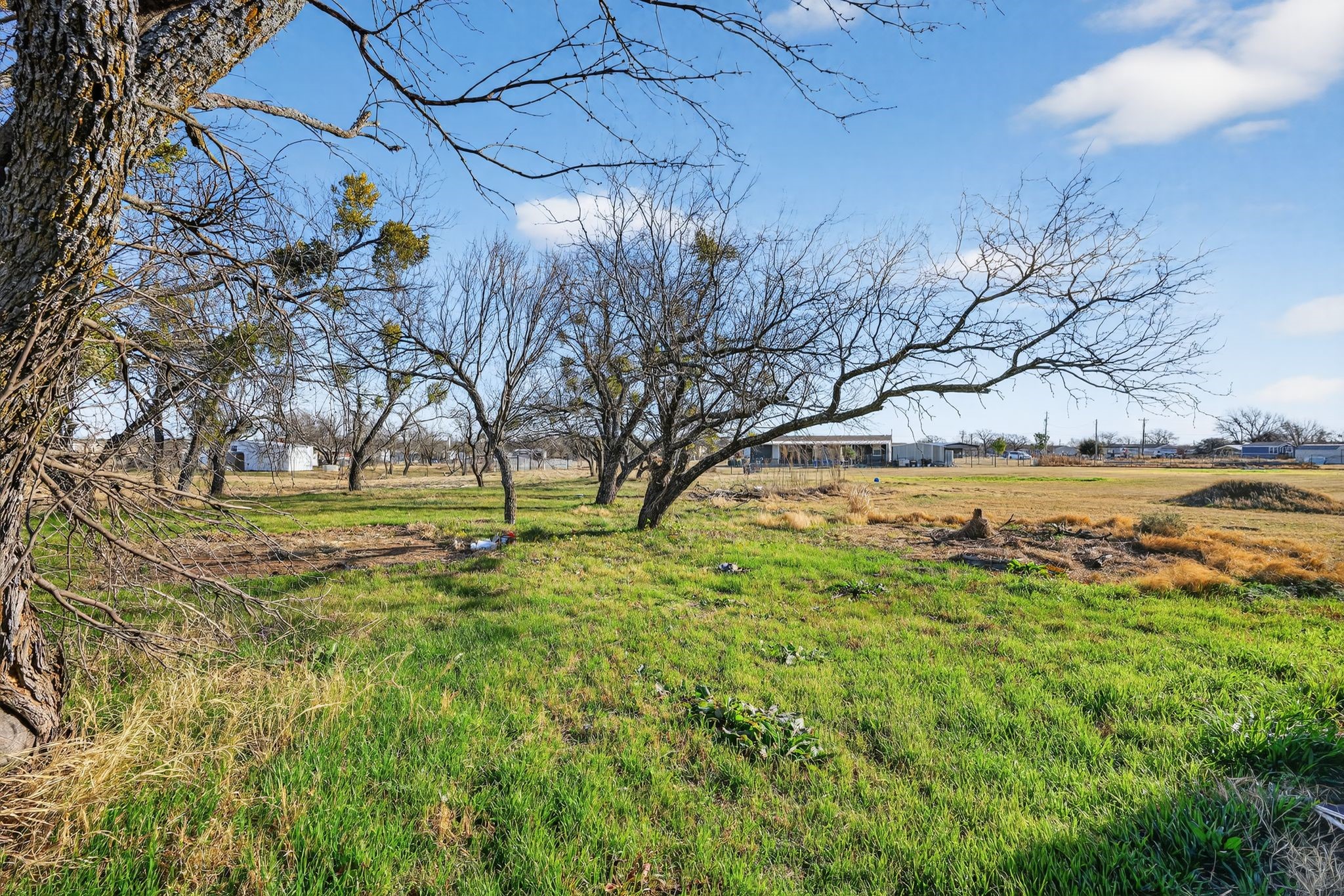 1550 Wild Horse Lane Stephenville TX 76401