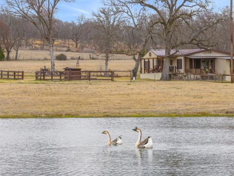 959 Vz County Road 2209 Canton TX 75103